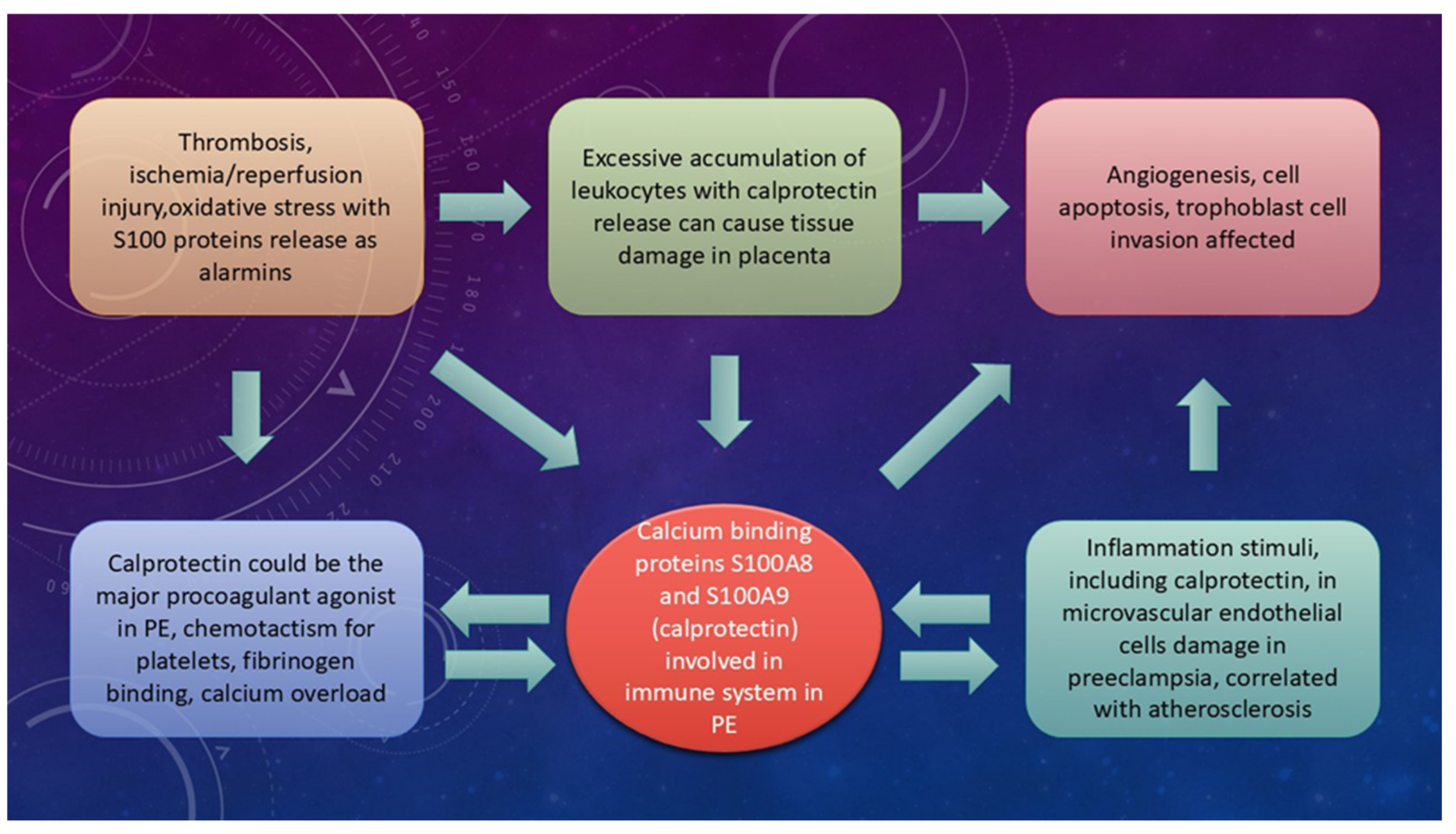 Ijms 26 10118 g003 Ijms 26 10118 g003