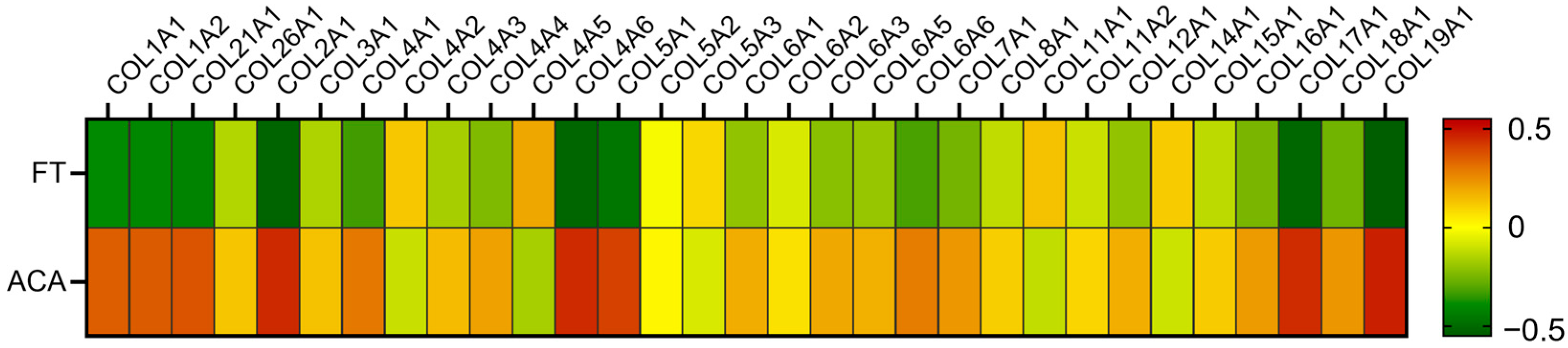 Ijms 26 10121 g002 Ijms 26 10121 g002