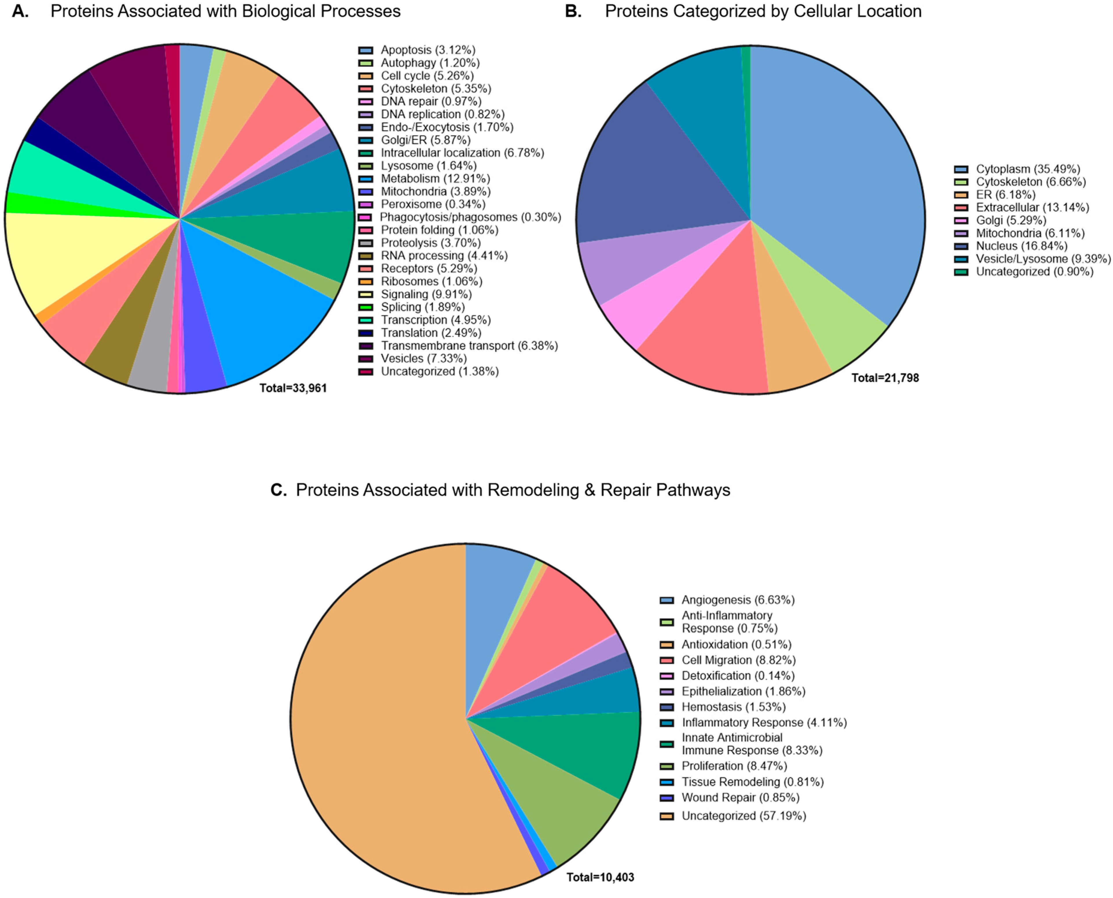 Ijms 26 10121 g003 Ijms 26 10121 g003