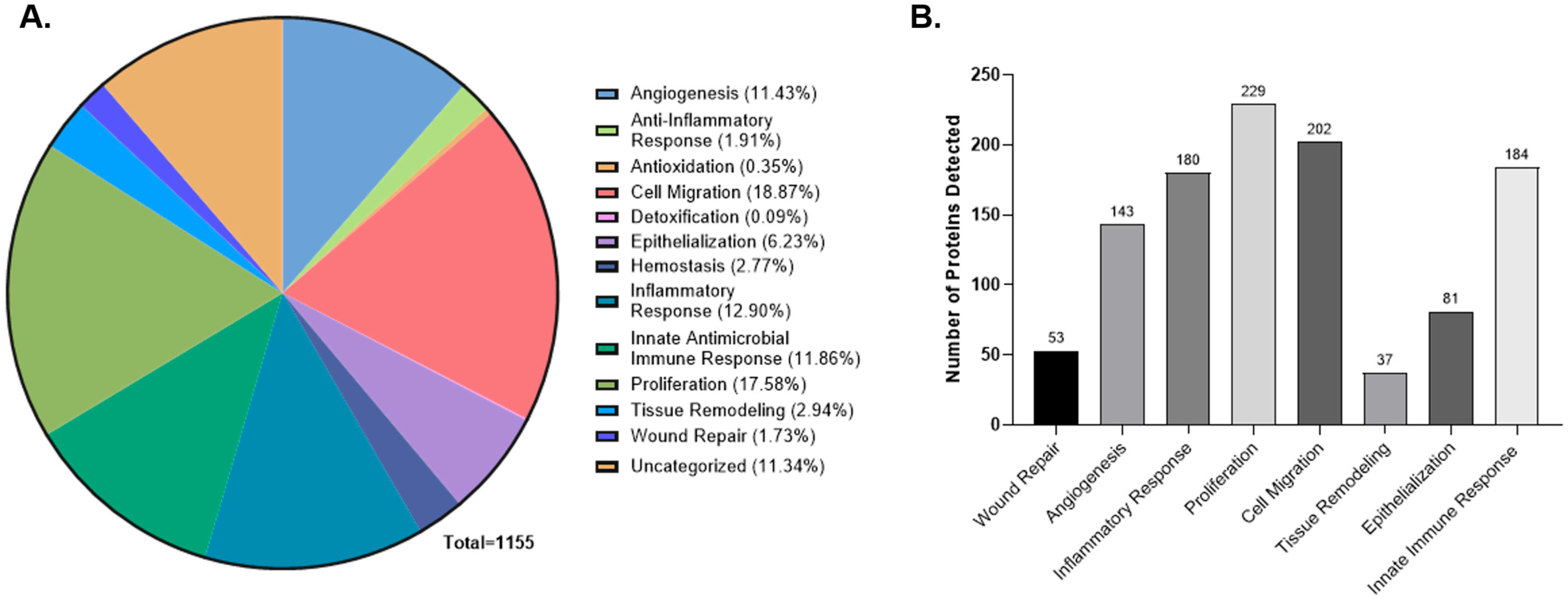 Ijms 26 10121 g004 Ijms 26 10121 g004