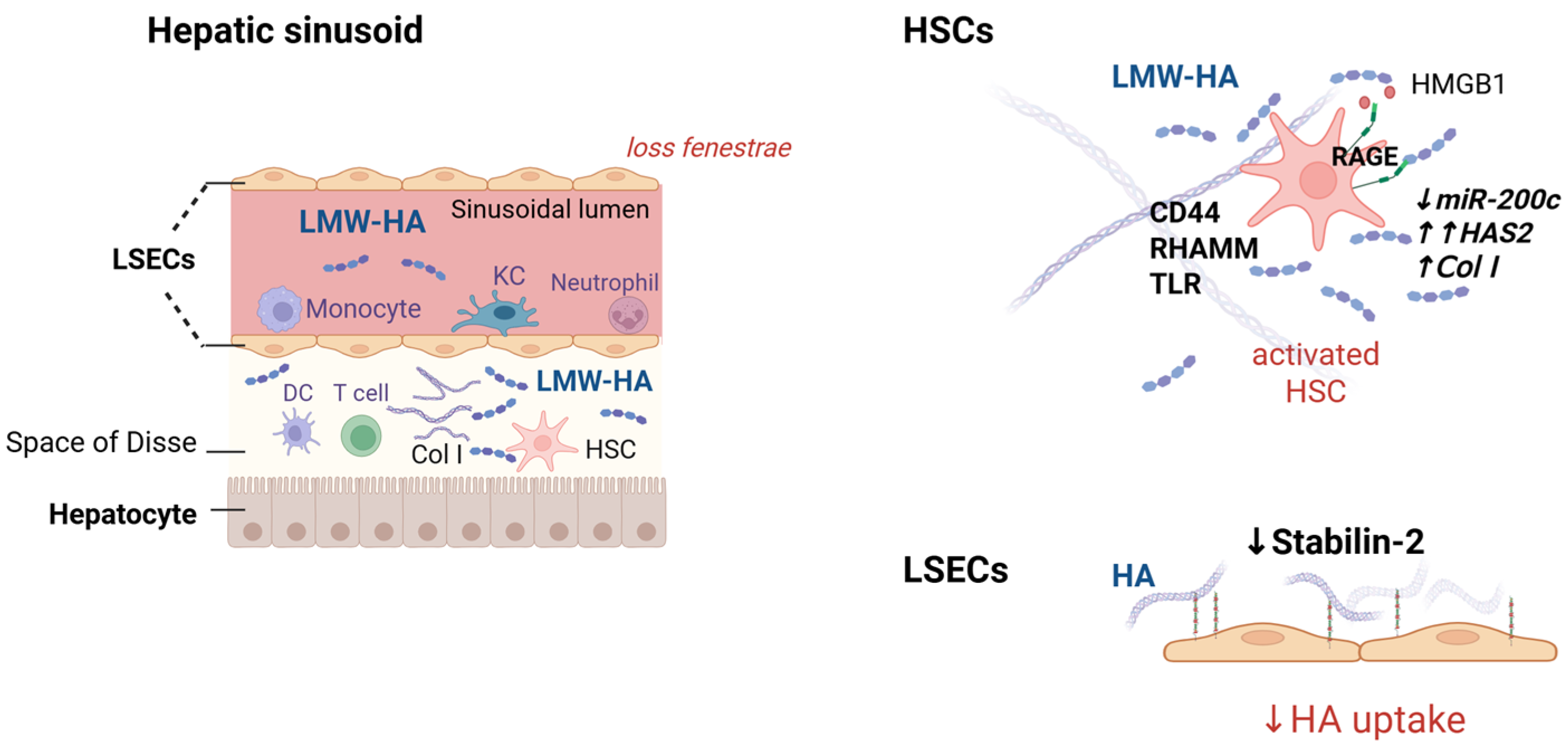 Ijms 26 10139 g003 Ijms 26 10139 g003