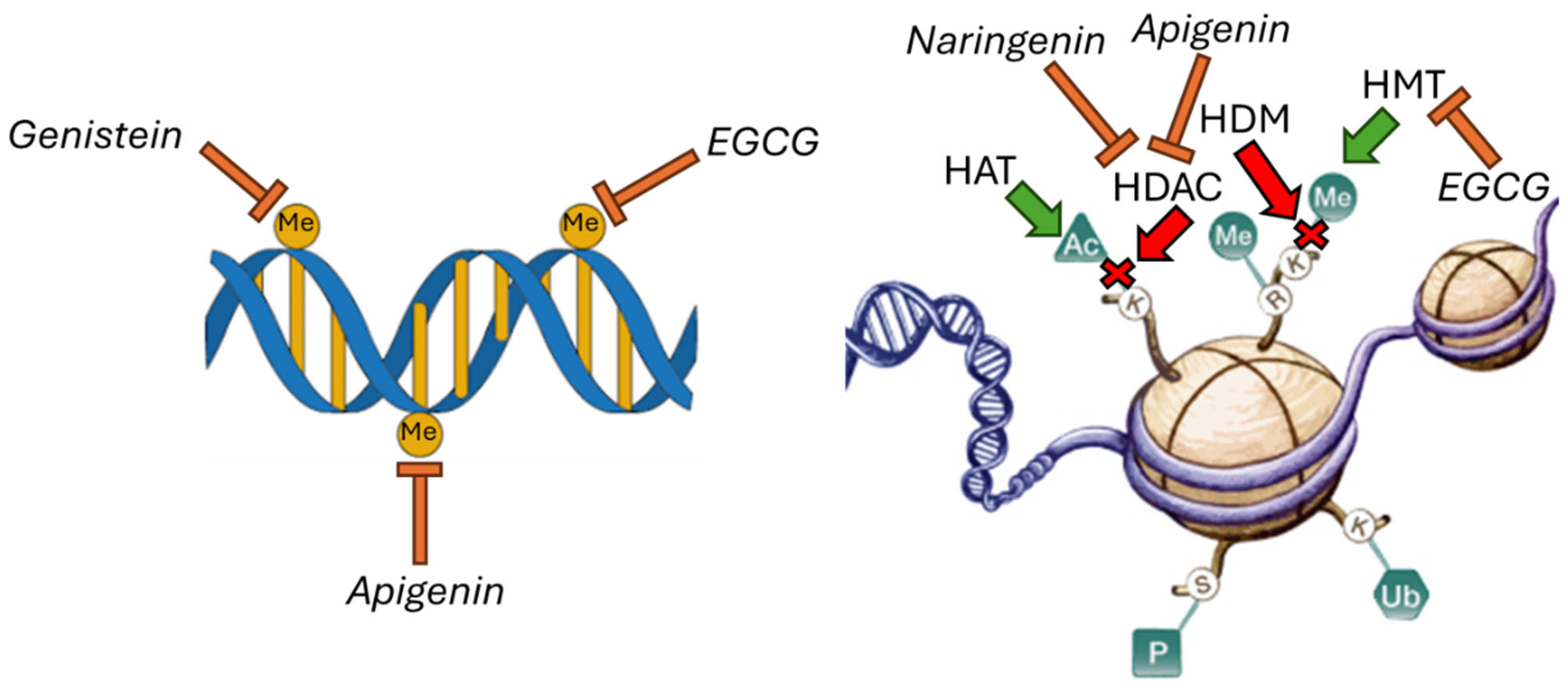 Ijms 26 10142 g002 Ijms 26 10142 g002