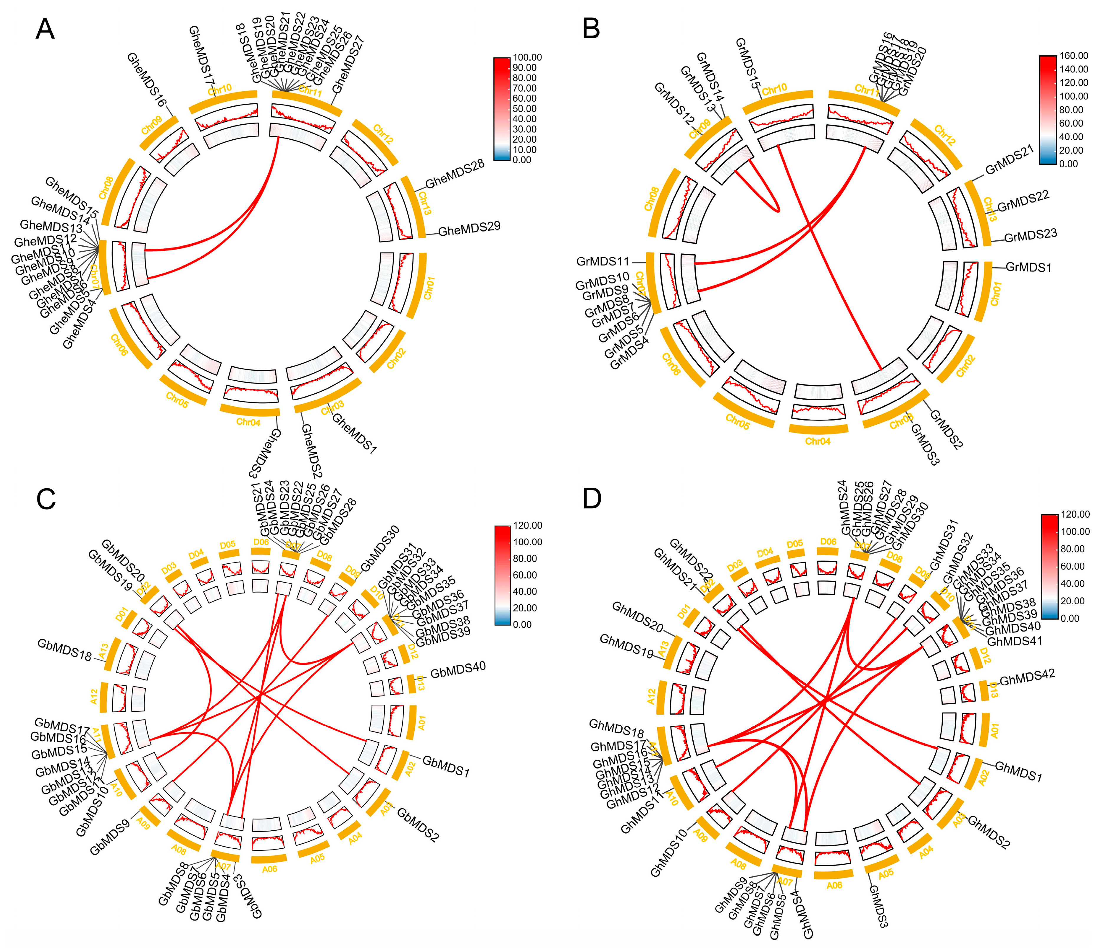Ijms 26 10144 g001 Ijms 26 10144 g001