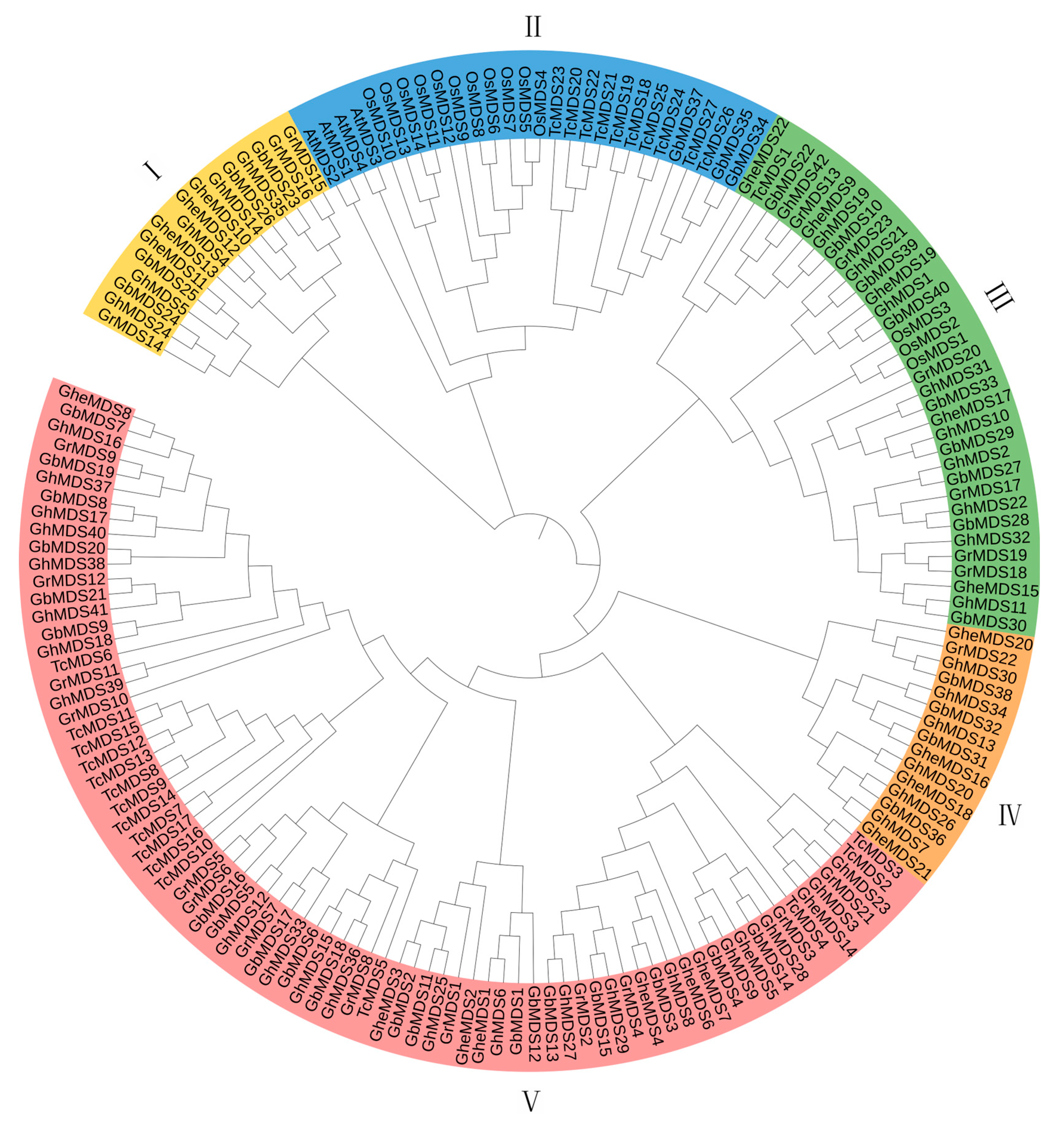 Ijms 26 10144 g002 Ijms 26 10144 g002