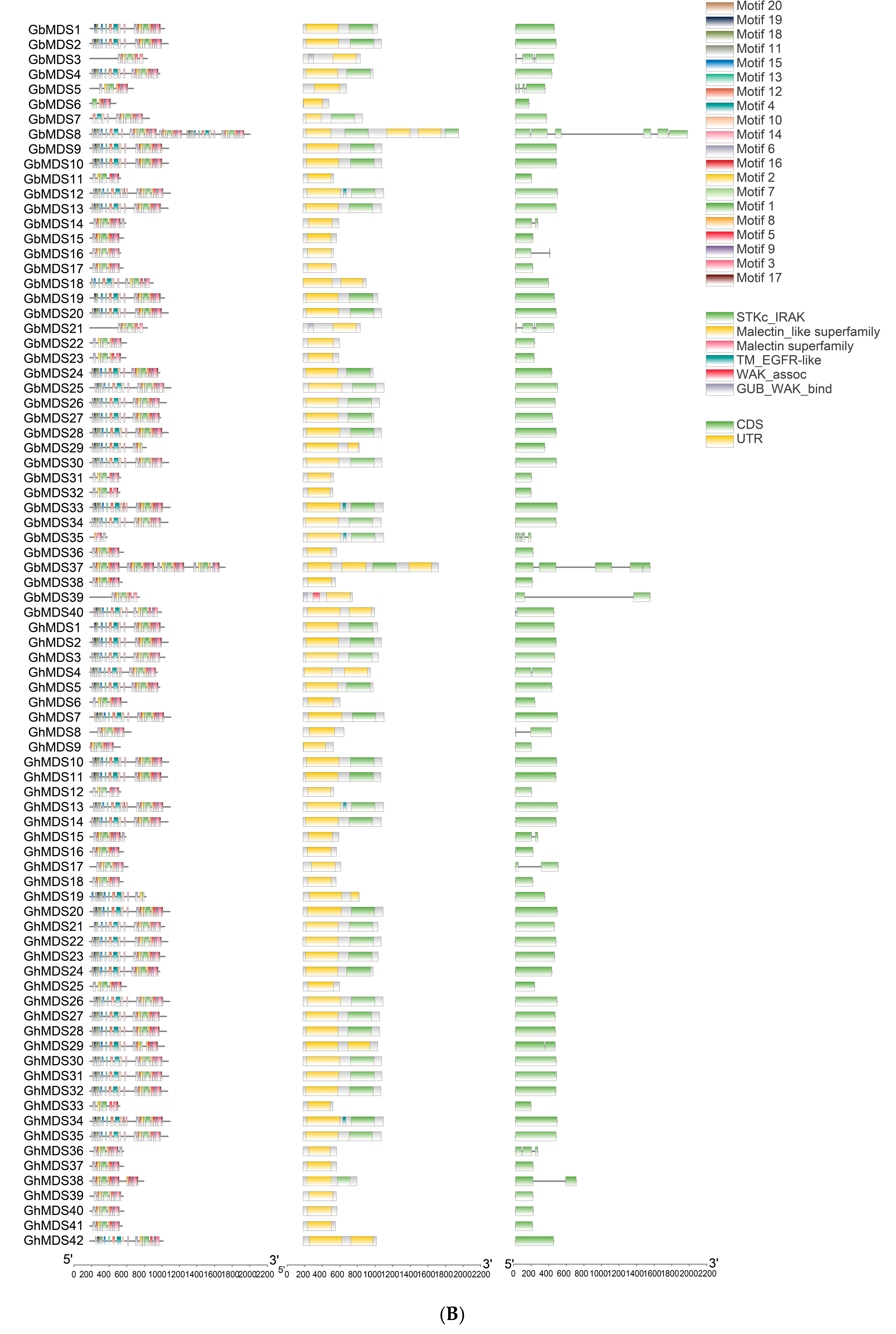 Ijms 26 10144 g003b Ijms 26 10144 g003b