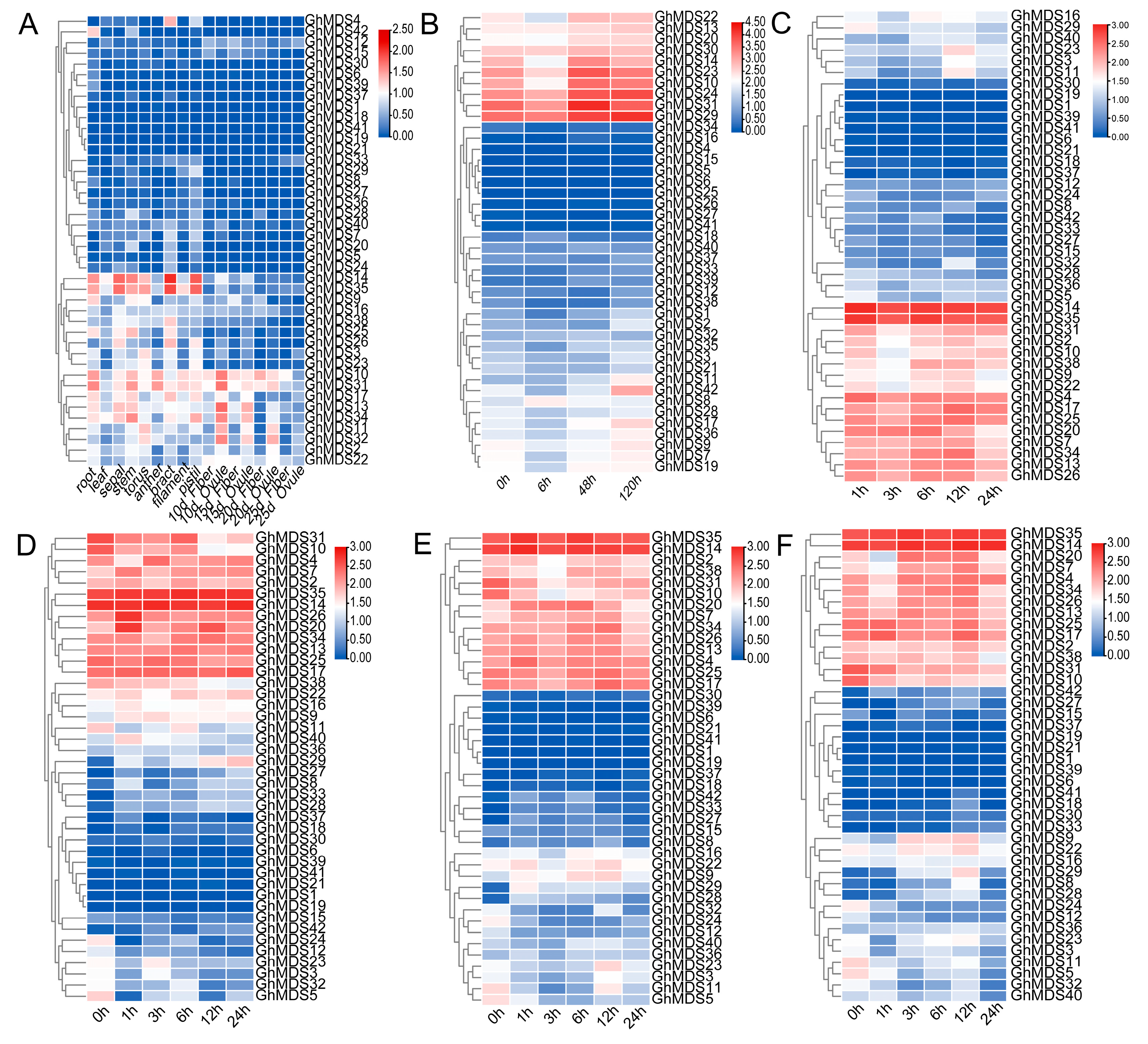 Ijms 26 10144 g005 Ijms 26 10144 g005
