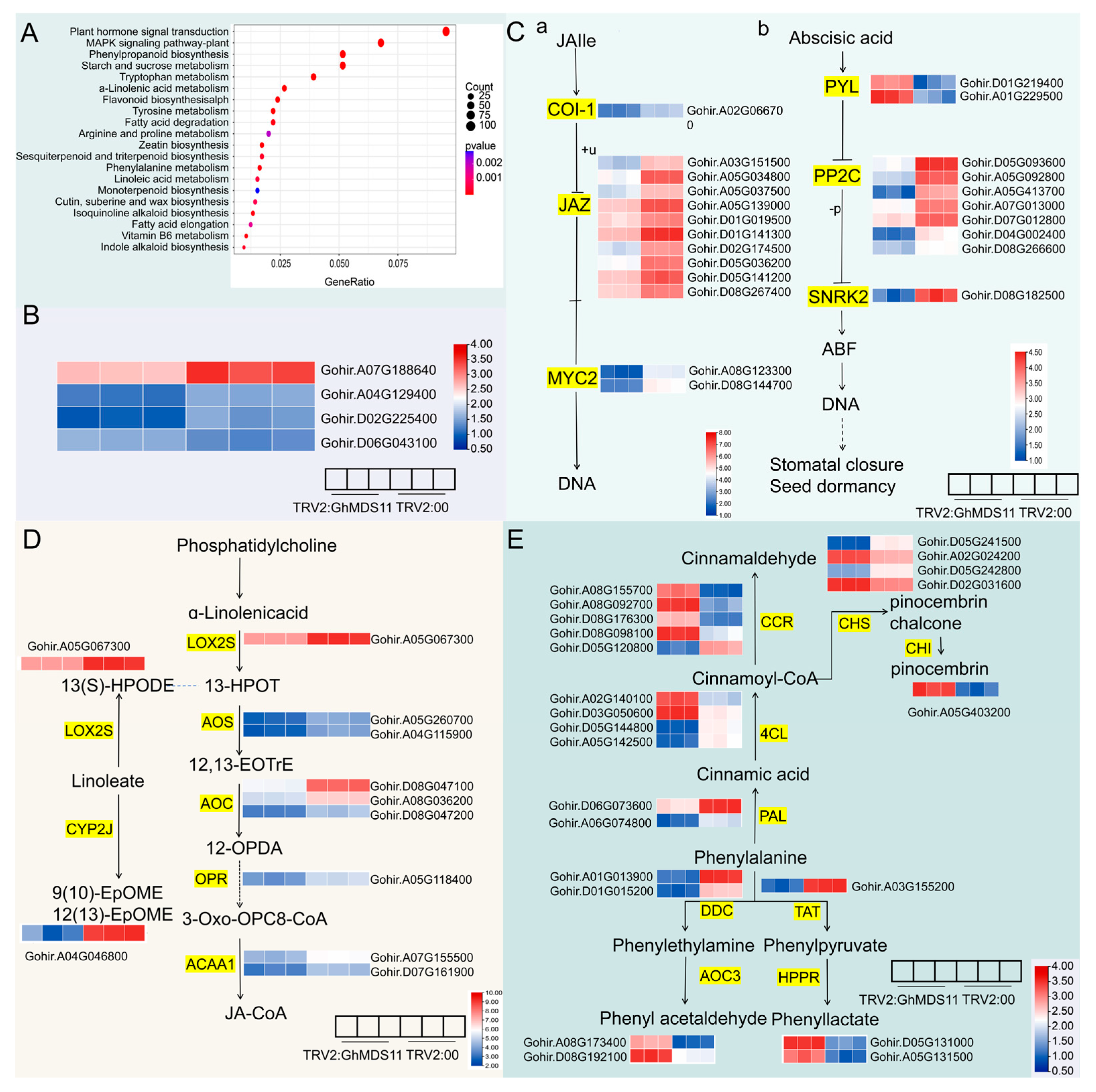 Ijms 26 10144 g008 Ijms 26 10144 g008