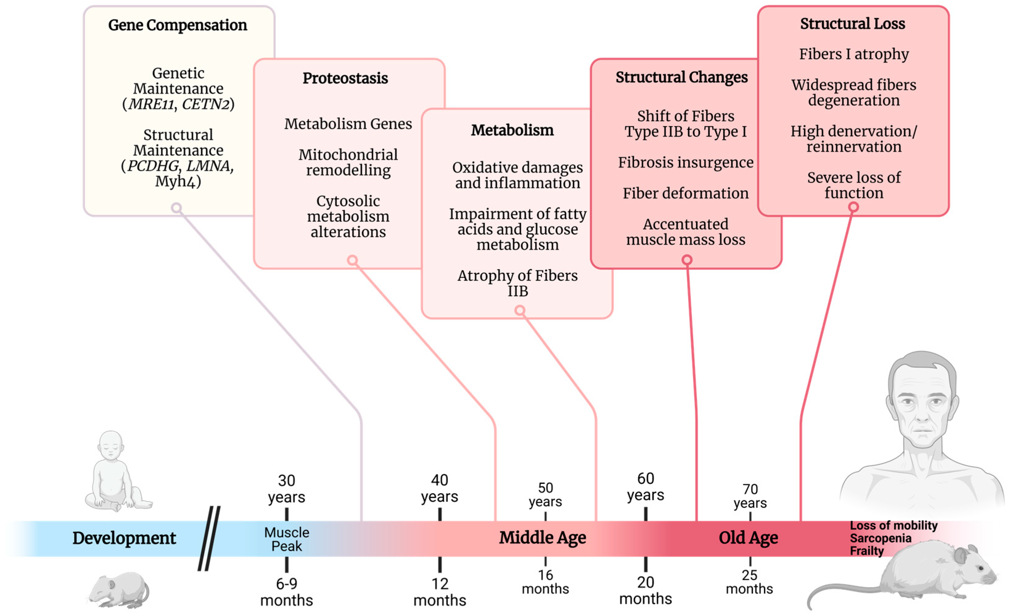 Ijms 26 10145 g001 Ijms 26 10145 g001