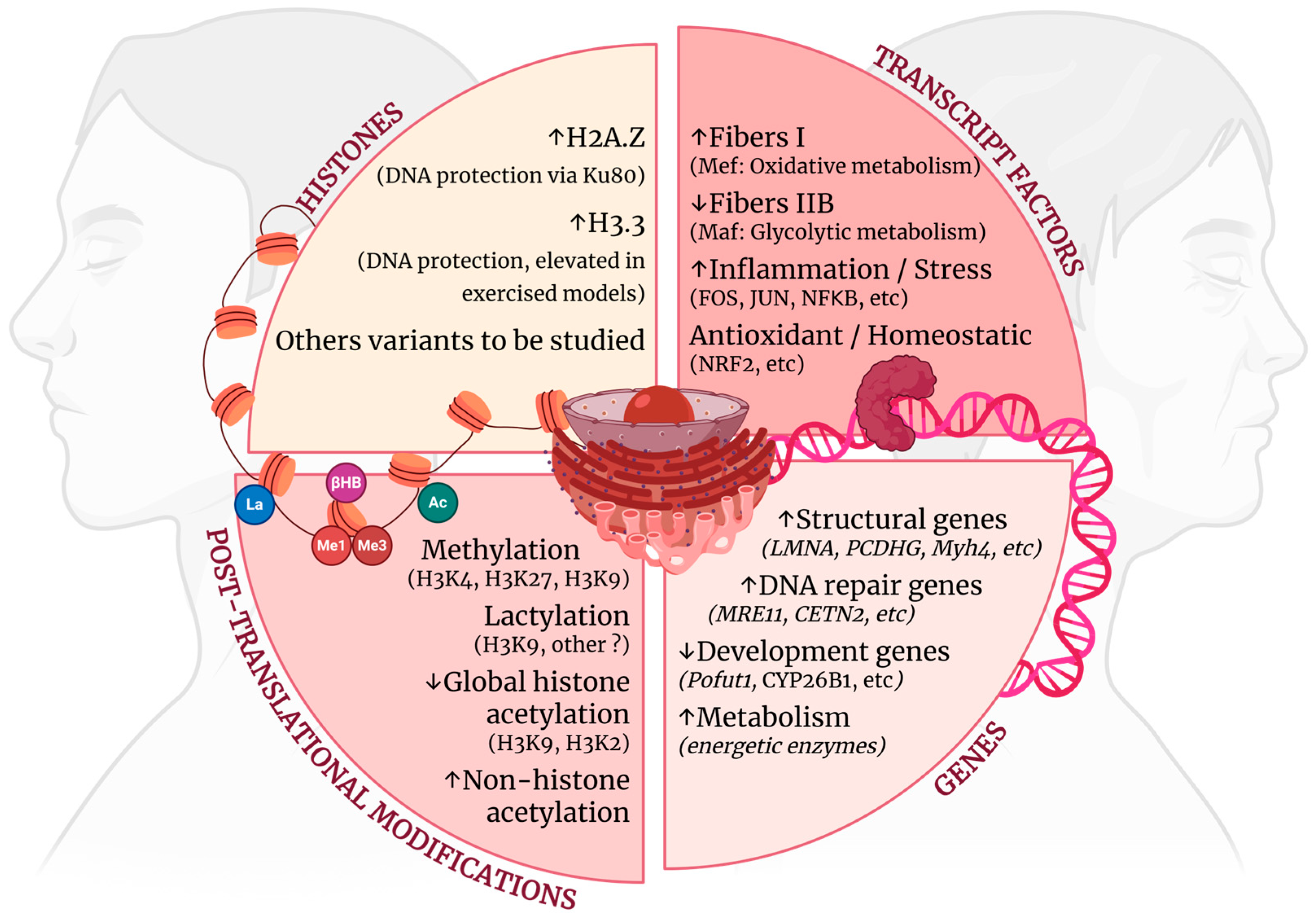 Ijms 26 10145 g003 Ijms 26 10145 g003