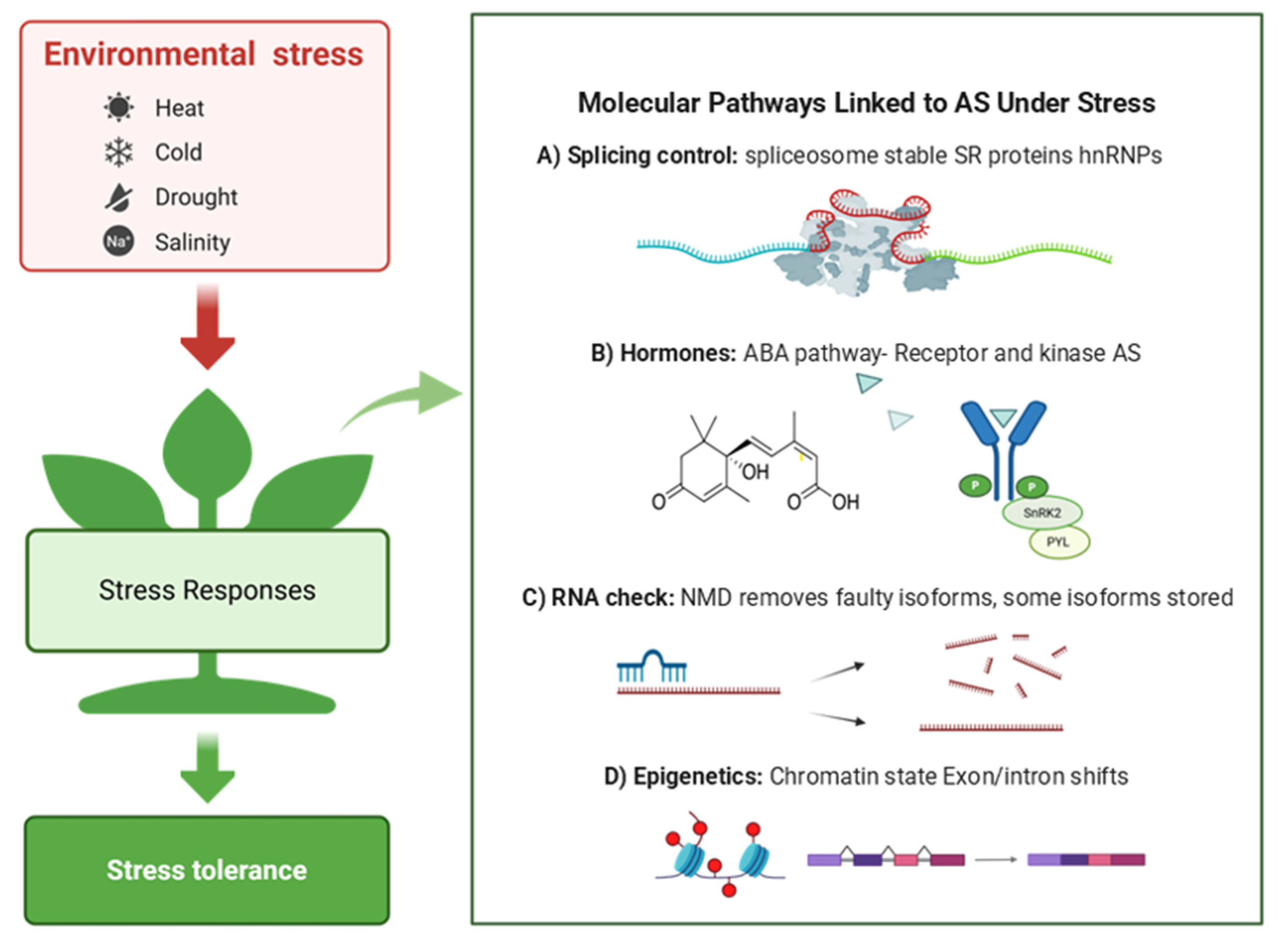 Ijms 26 10146 g002 Ijms 26 10146 g002