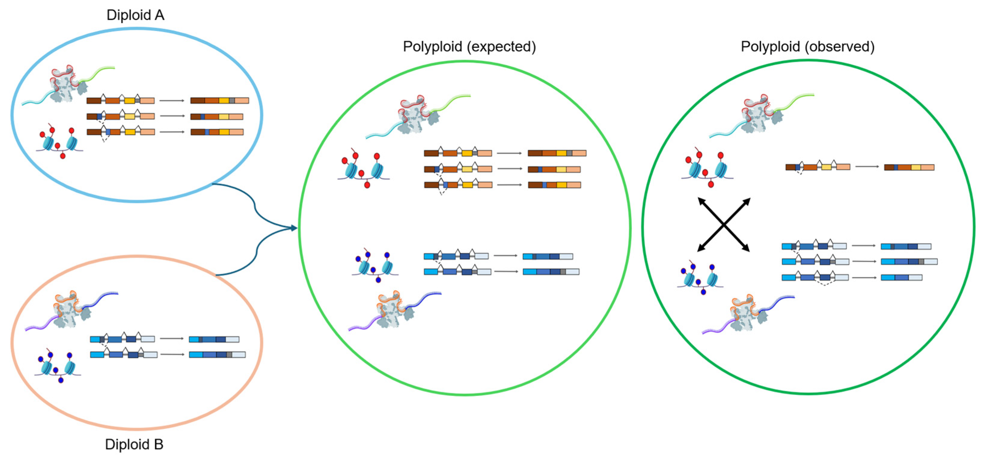 Ijms 26 10146 g003 Ijms 26 10146 g003