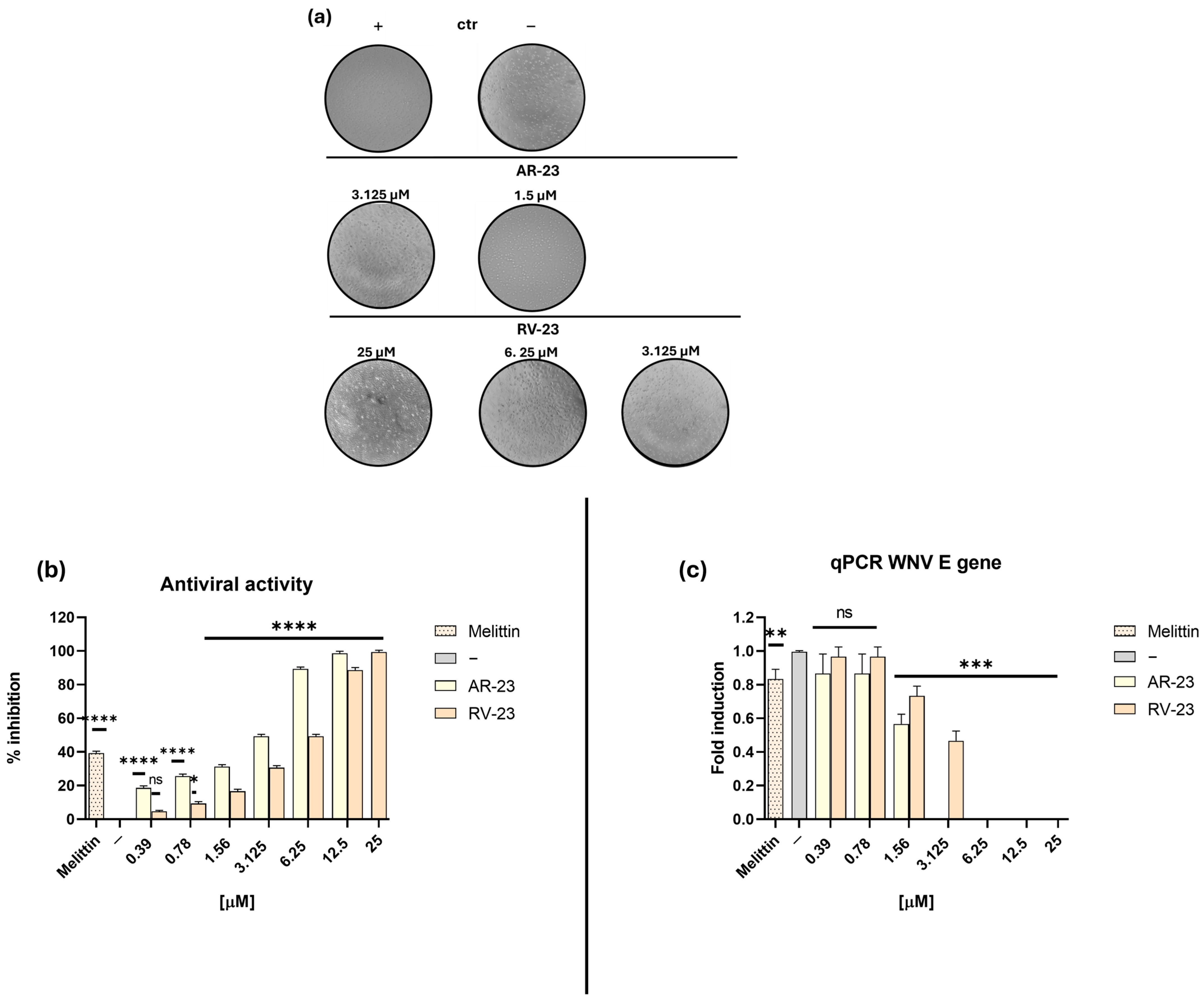 Ijms 26 10148 g002 Ijms 26 10148 g002
