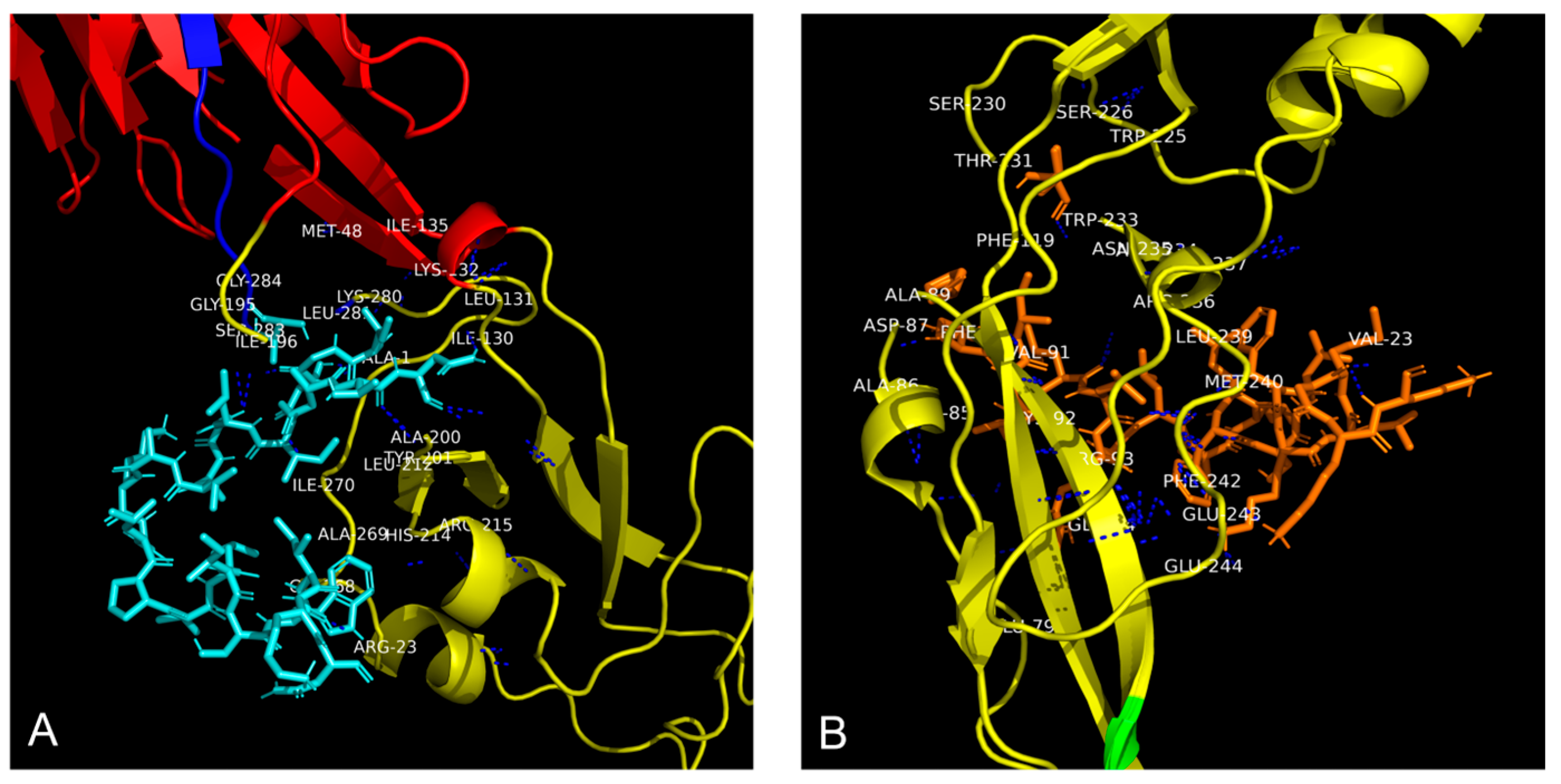 Ijms 26 10148 g005 Ijms 26 10148 g005