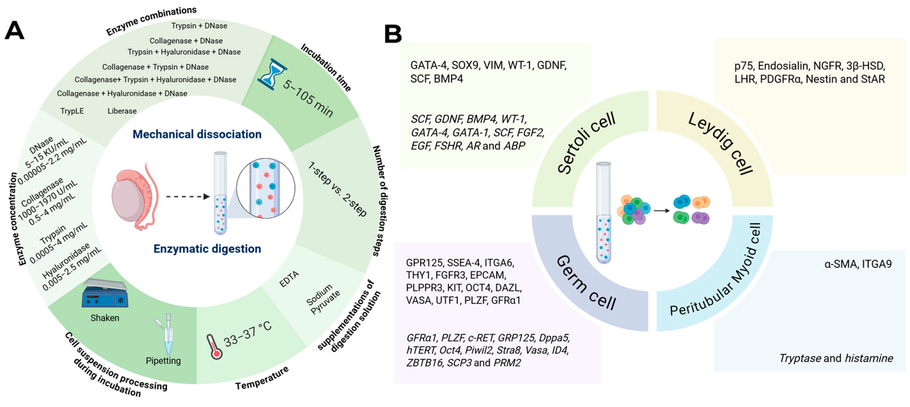 Ijms 26 10150 g001 Ijms 26 10150 g001
