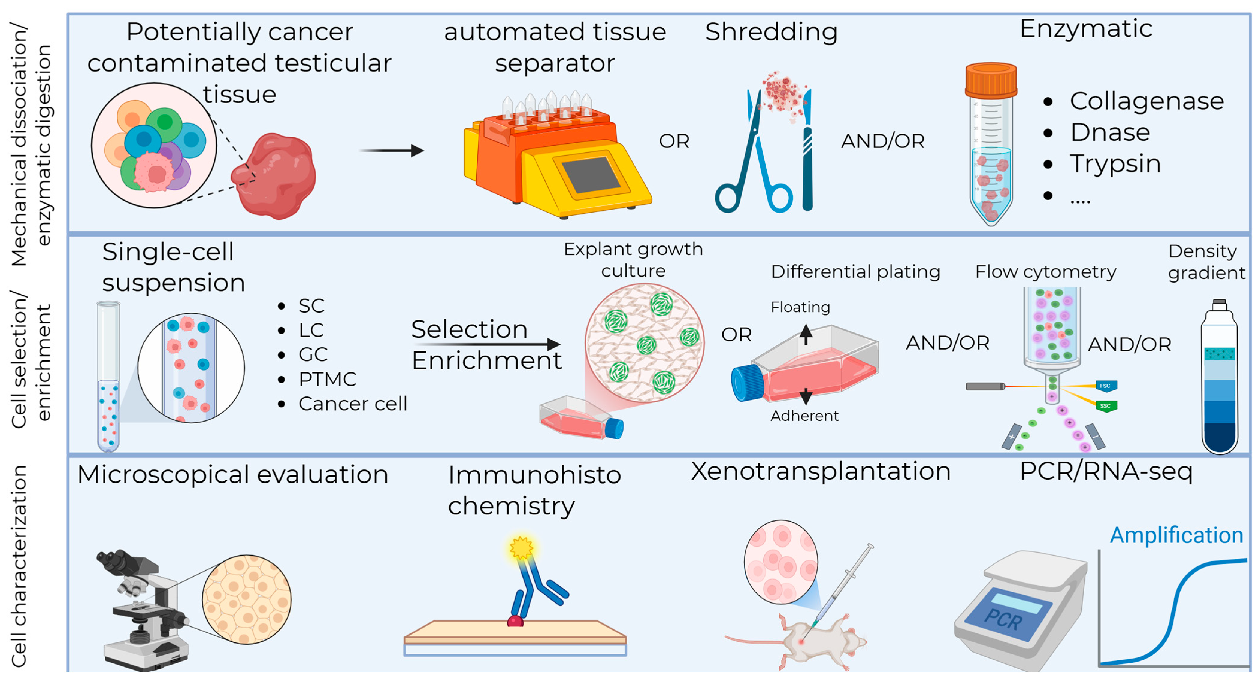Ijms 26 10150 g002 Ijms 26 10150 g002