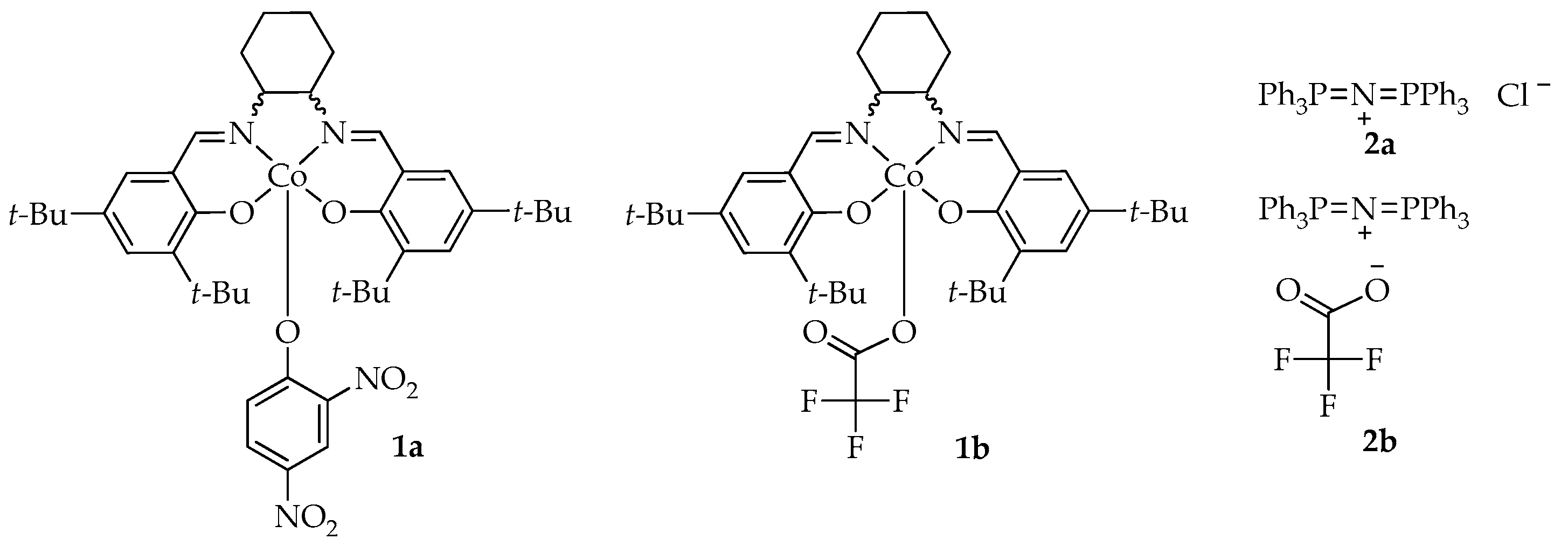 Ijms 26 10151 g001 Ijms 26 10151 g001