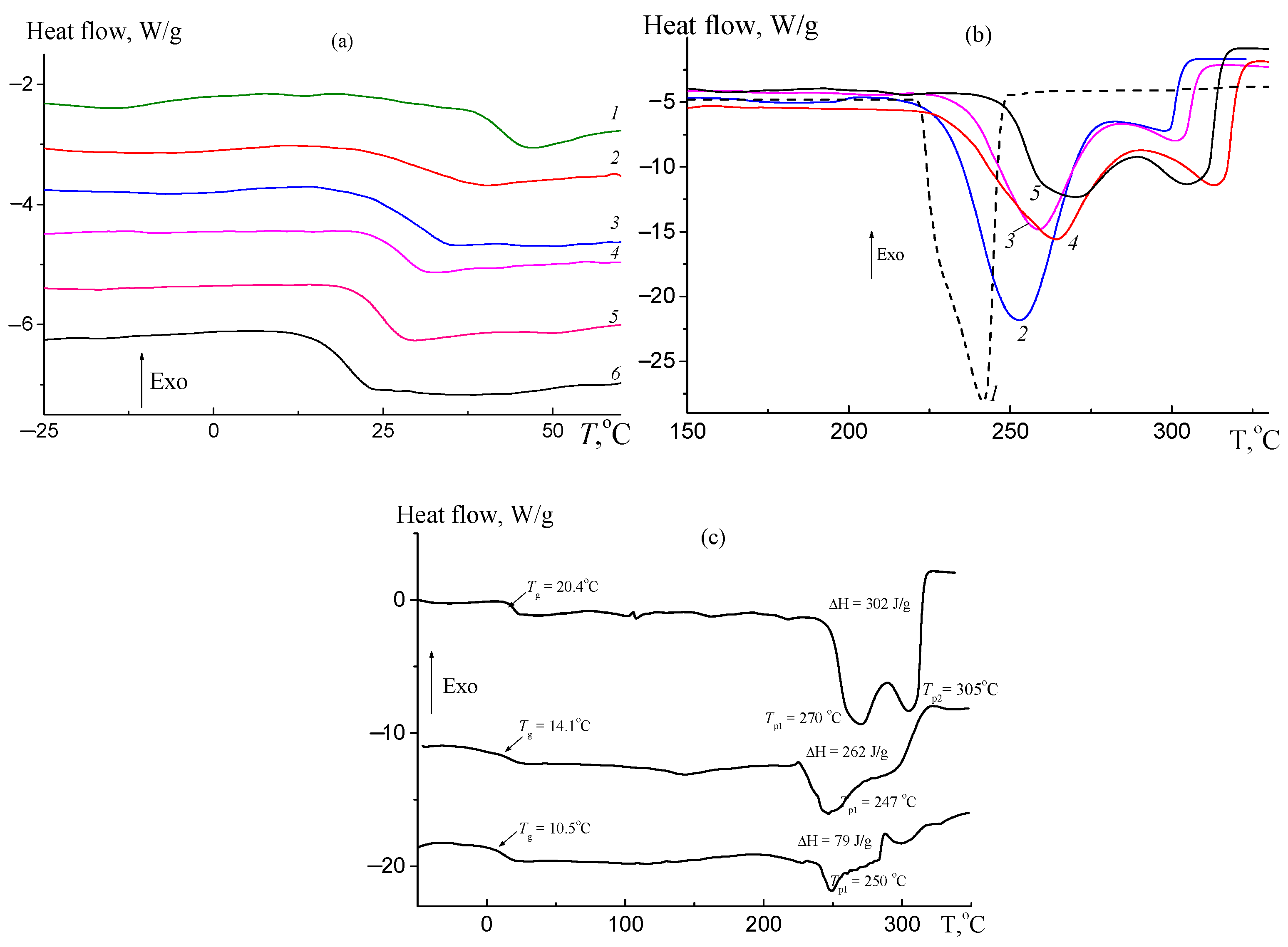 Ijms 26 10151 g011 Ijms 26 10151 g011