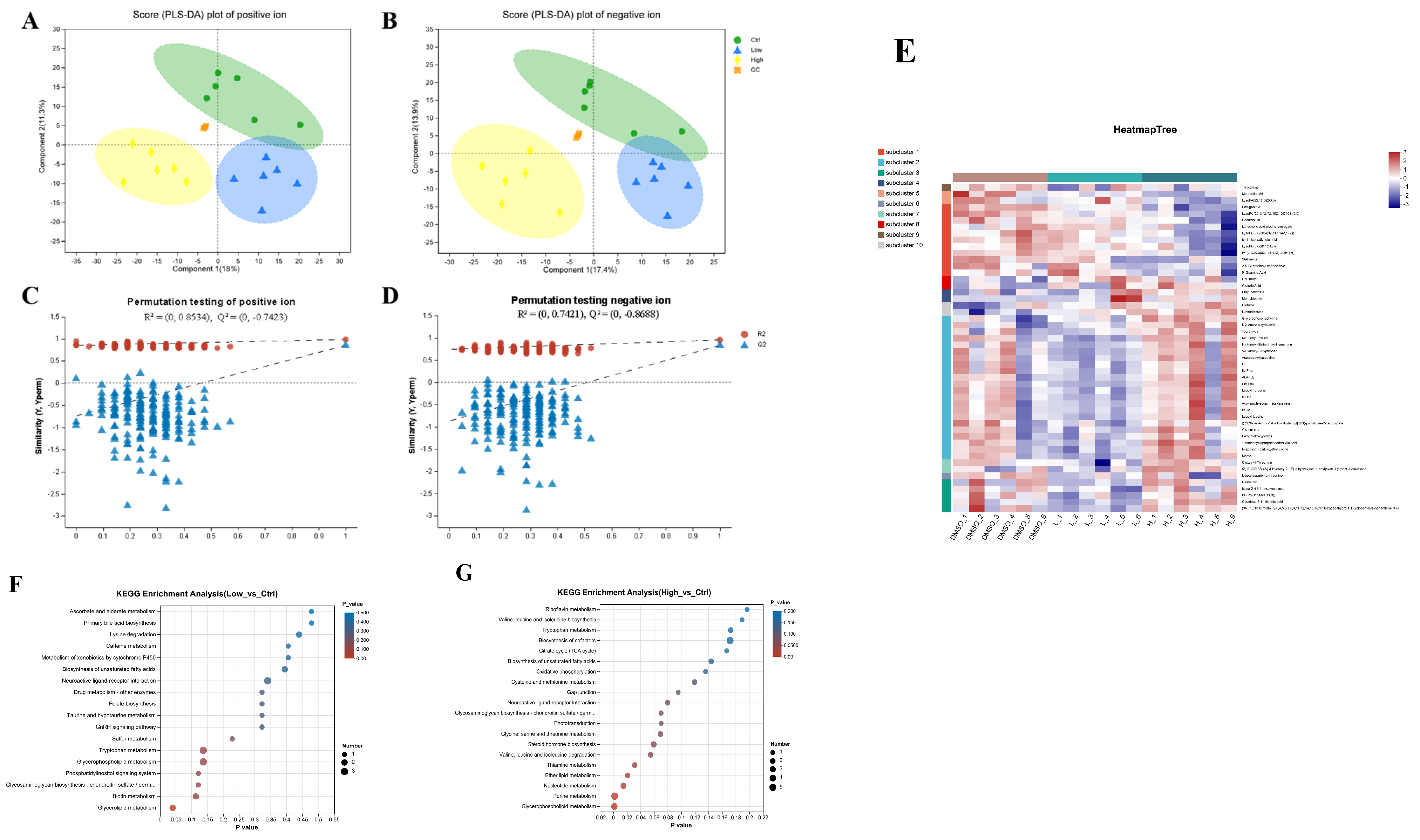Ijms 26 10152 g003 Ijms 26 10152 g003