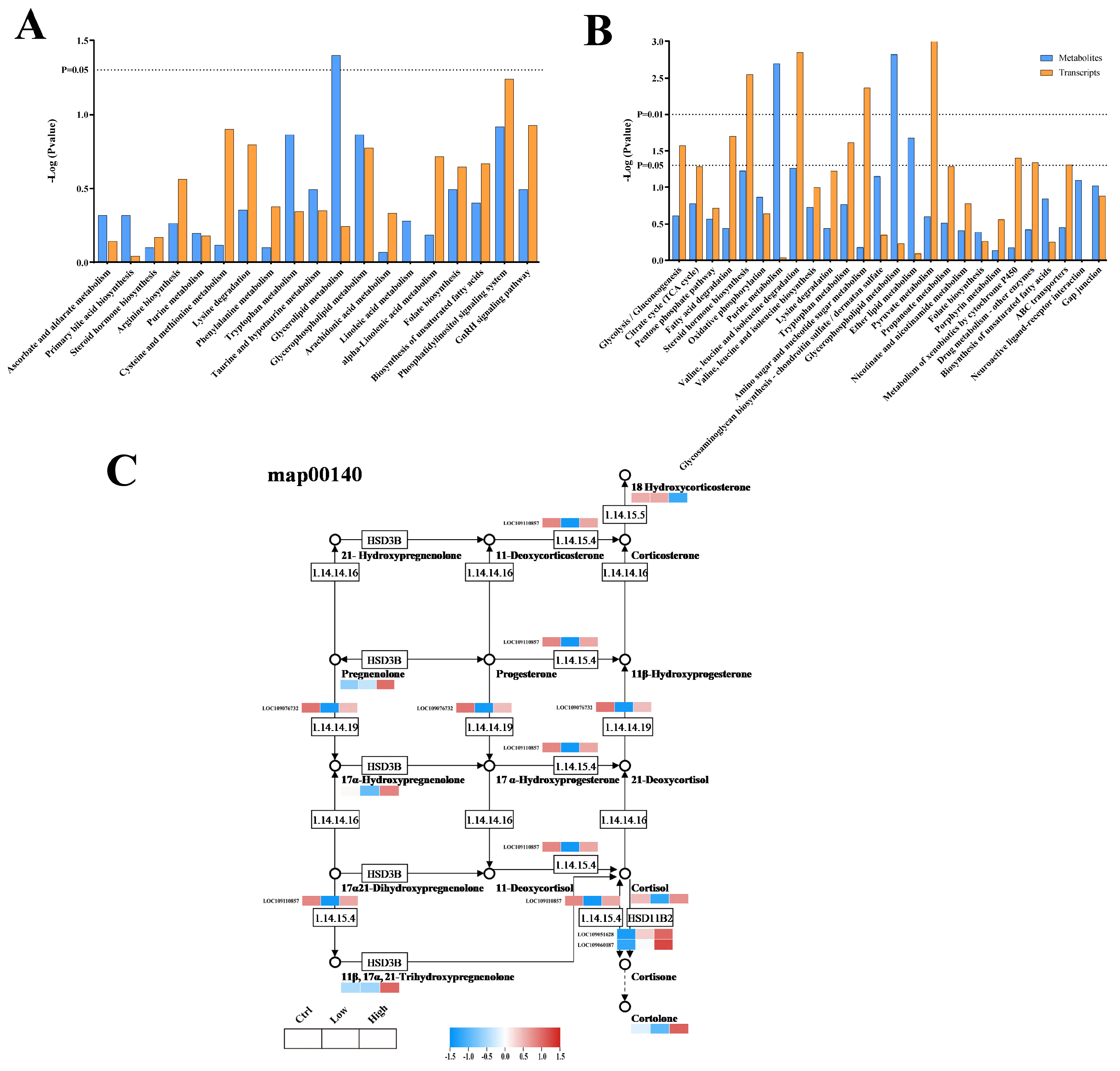 Ijms 26 10152 g006 Ijms 26 10152 g006