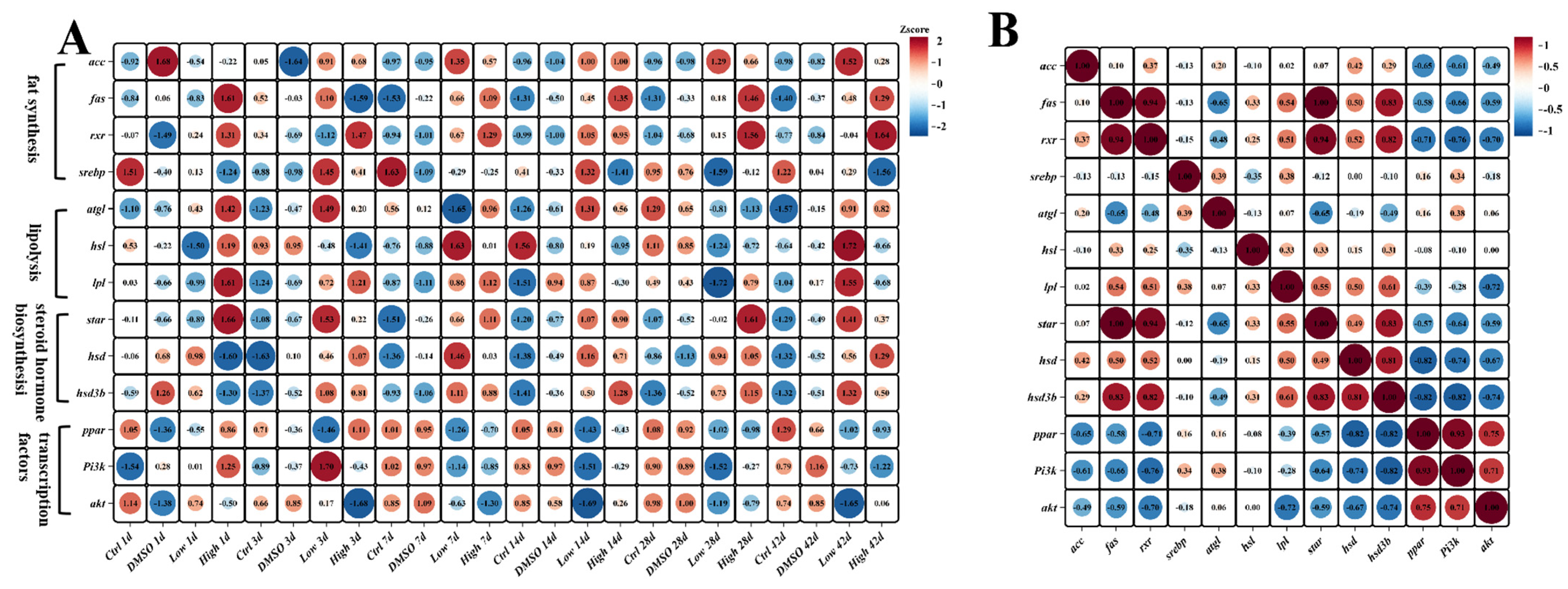 Ijms 26 10152 g007 Ijms 26 10152 g007