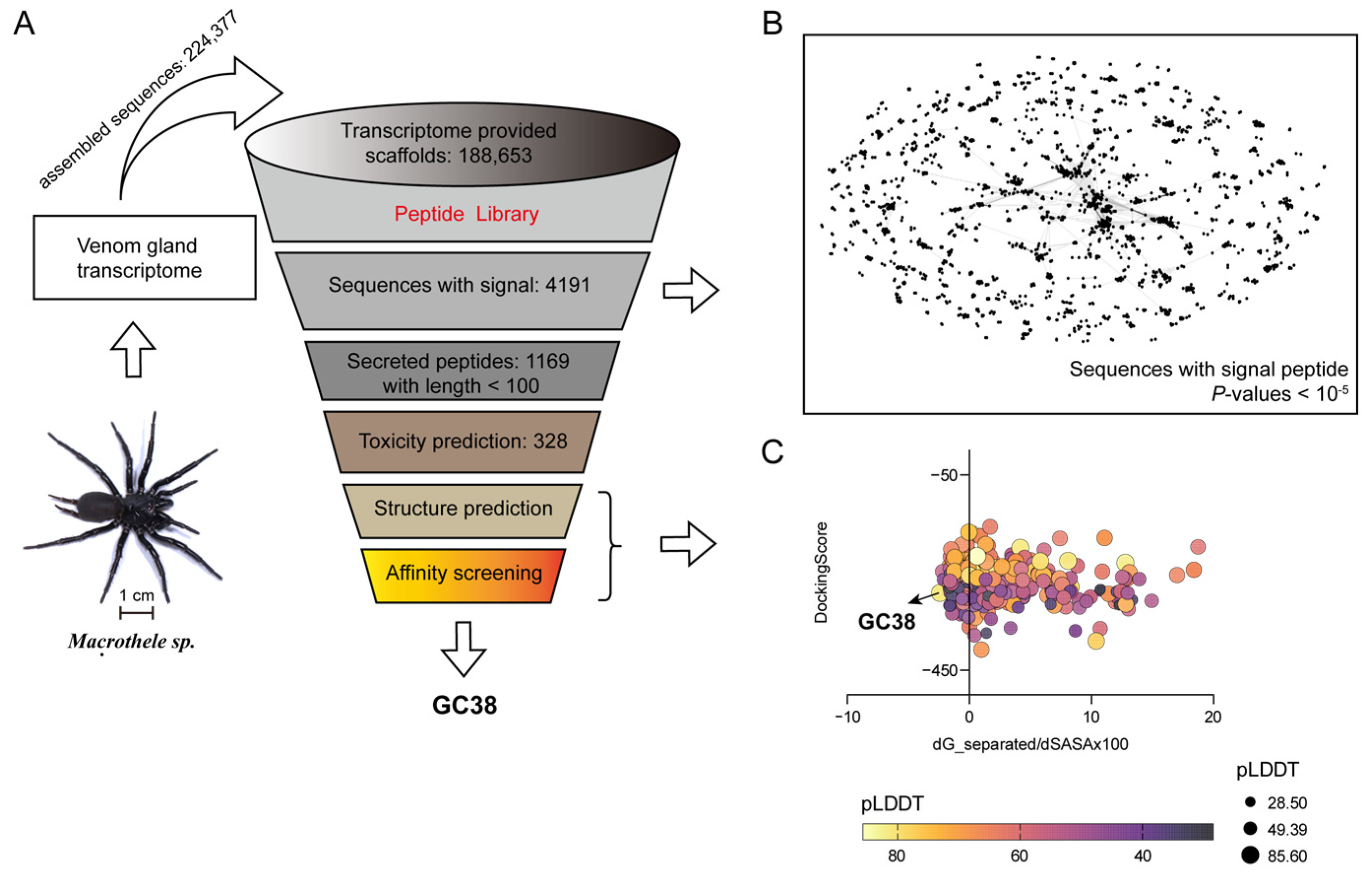 Ijms 26 10154 g001 Ijms 26 10154 g001