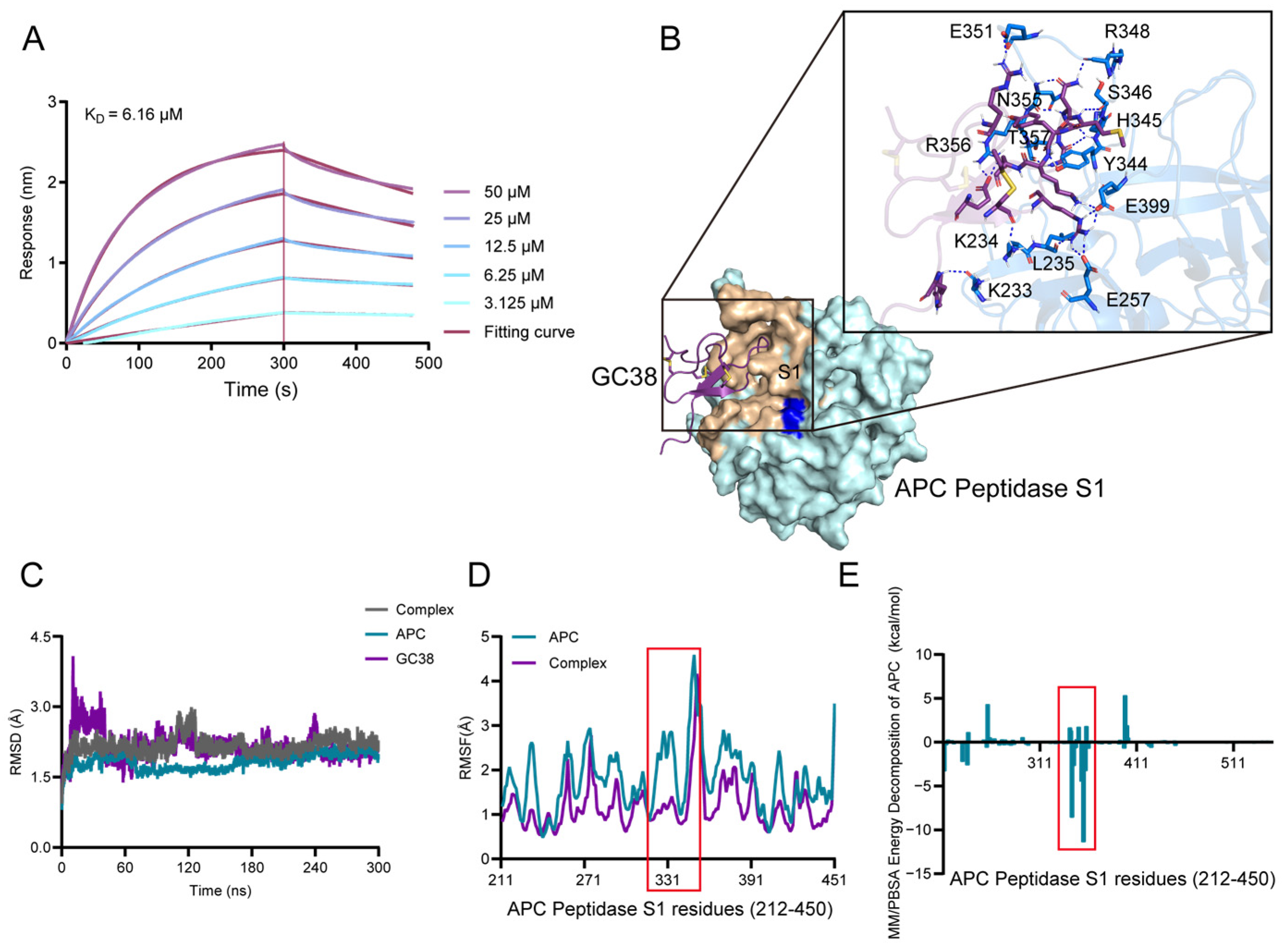 Ijms 26 10154 g004 Ijms 26 10154 g004