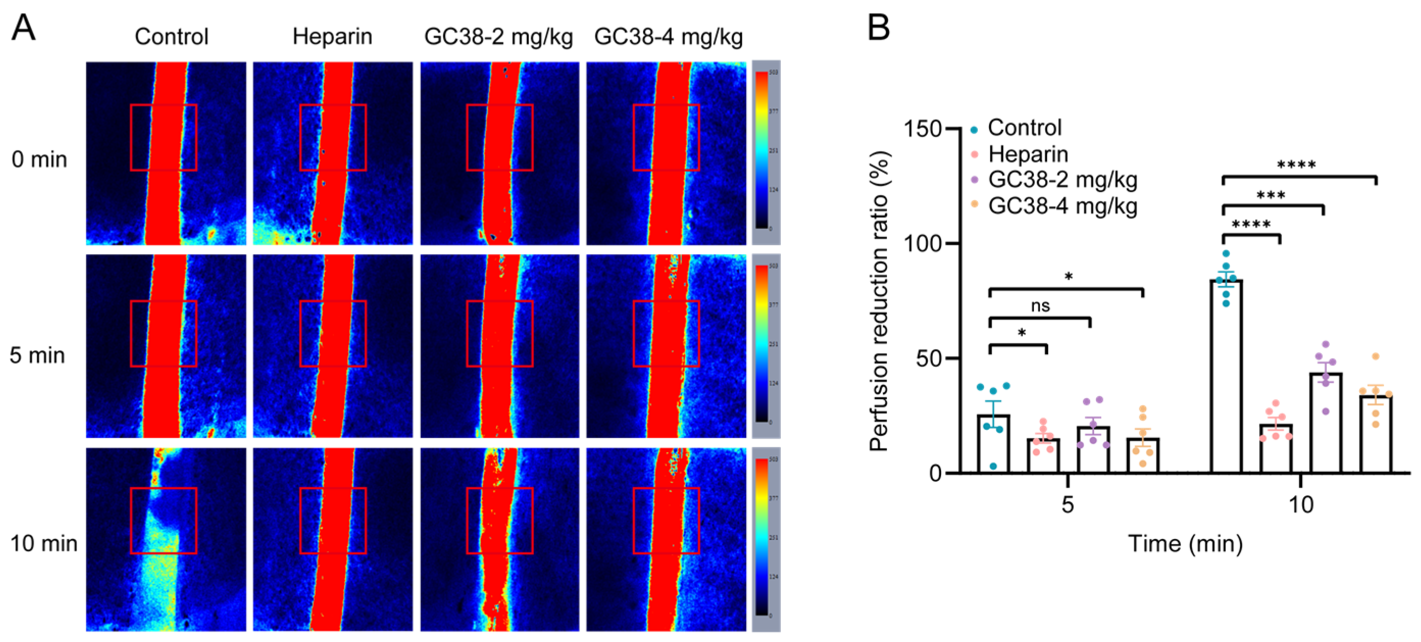 Ijms 26 10154 g006 Ijms 26 10154 g006