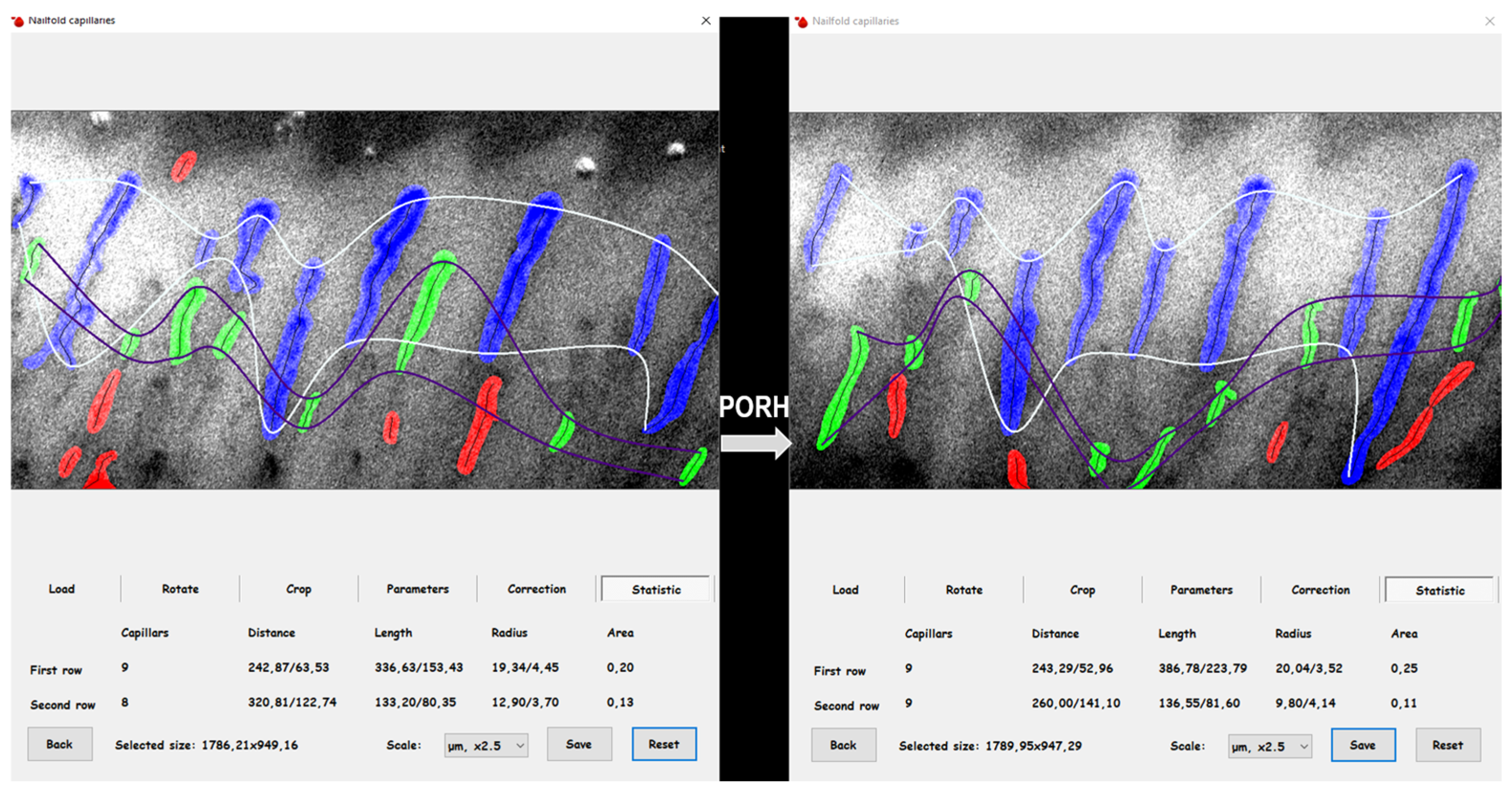 Ijms 26 10156 g003 Ijms 26 10156 g003