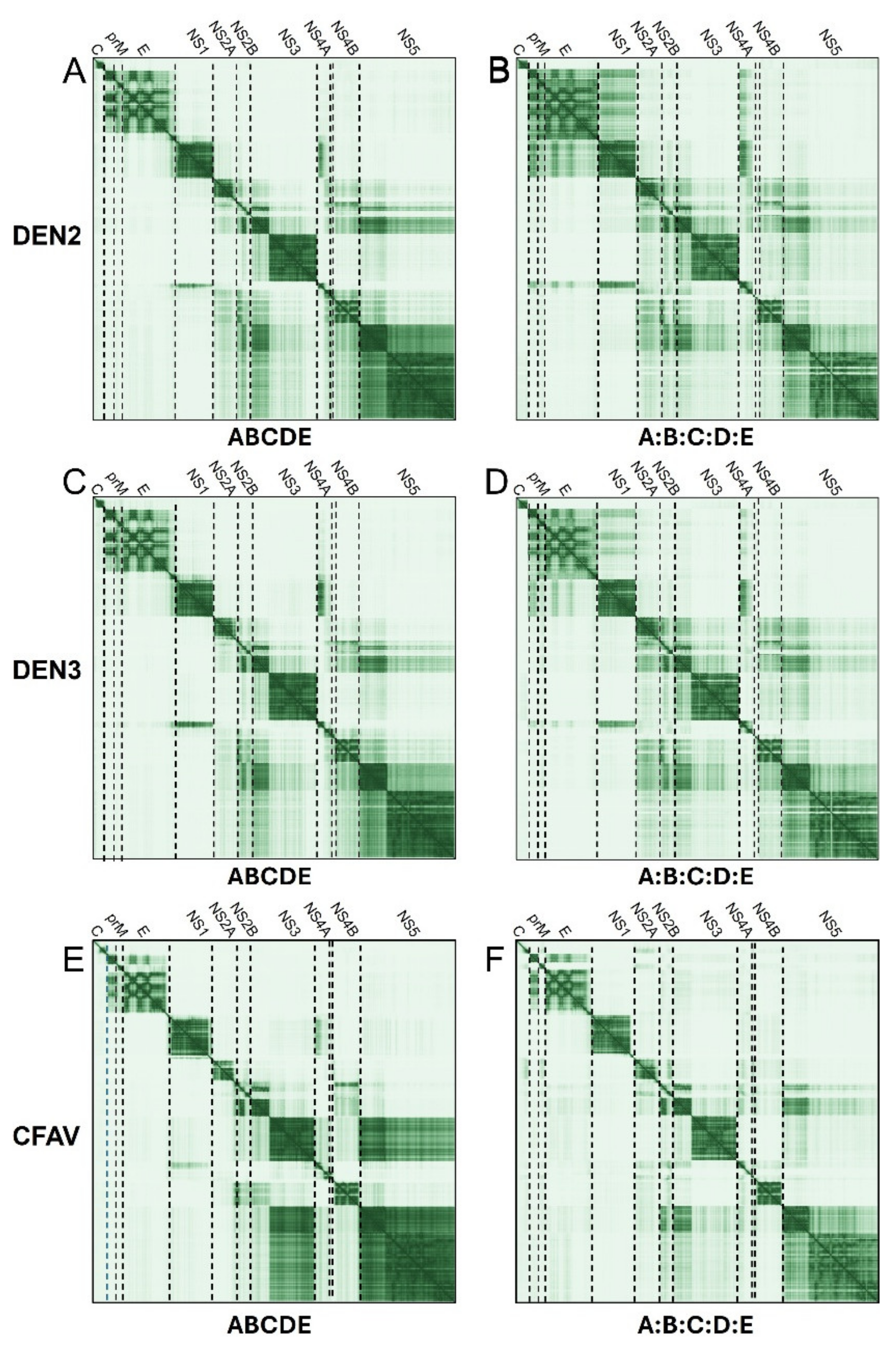 Ijms 26 10159 g003 Ijms 26 10159 g003
