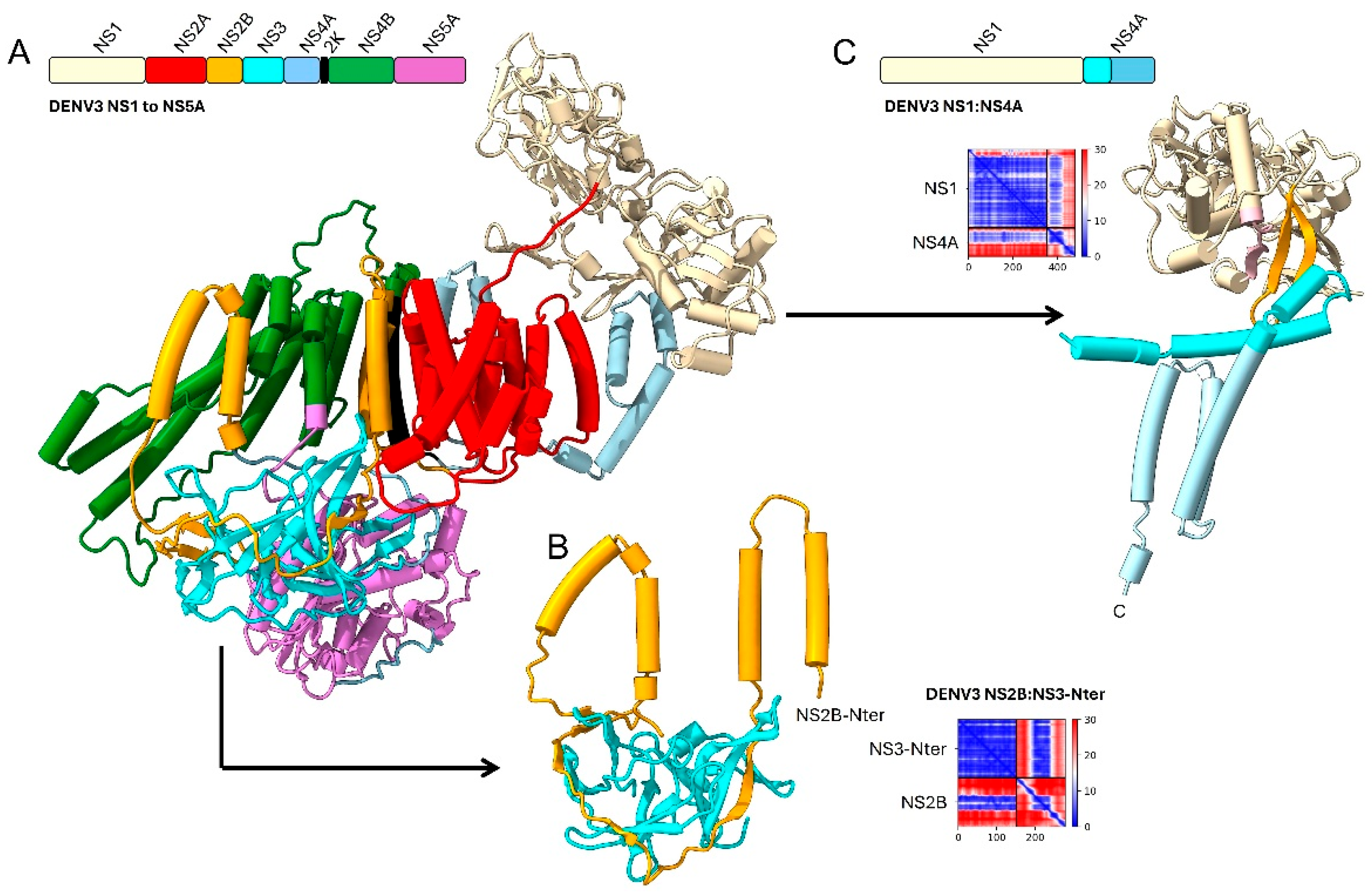 Ijms 26 10159 g004 Ijms 26 10159 g004