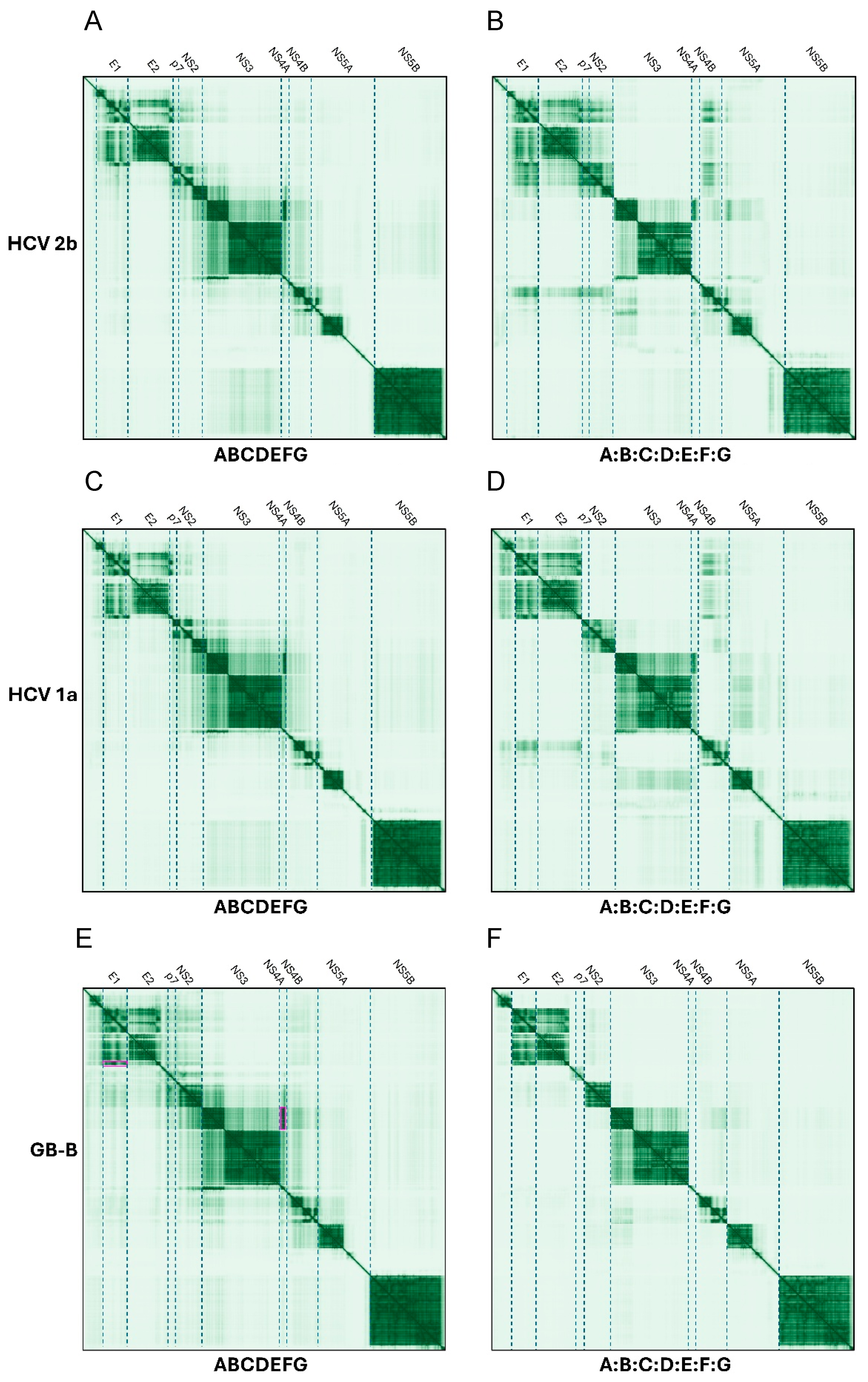 Ijms 26 10159 g005 Ijms 26 10159 g005