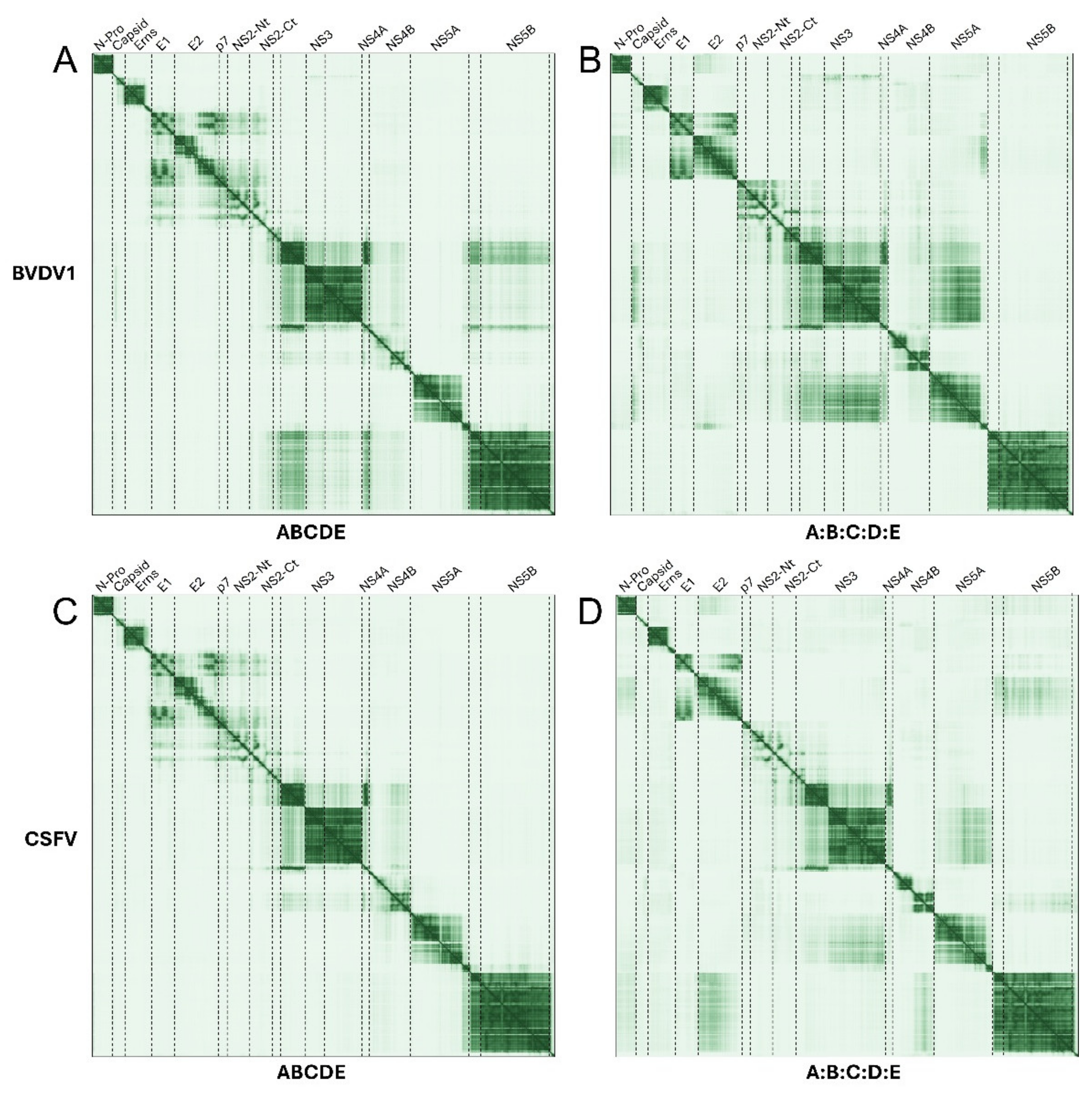 Ijms 26 10159 g007 Ijms 26 10159 g007