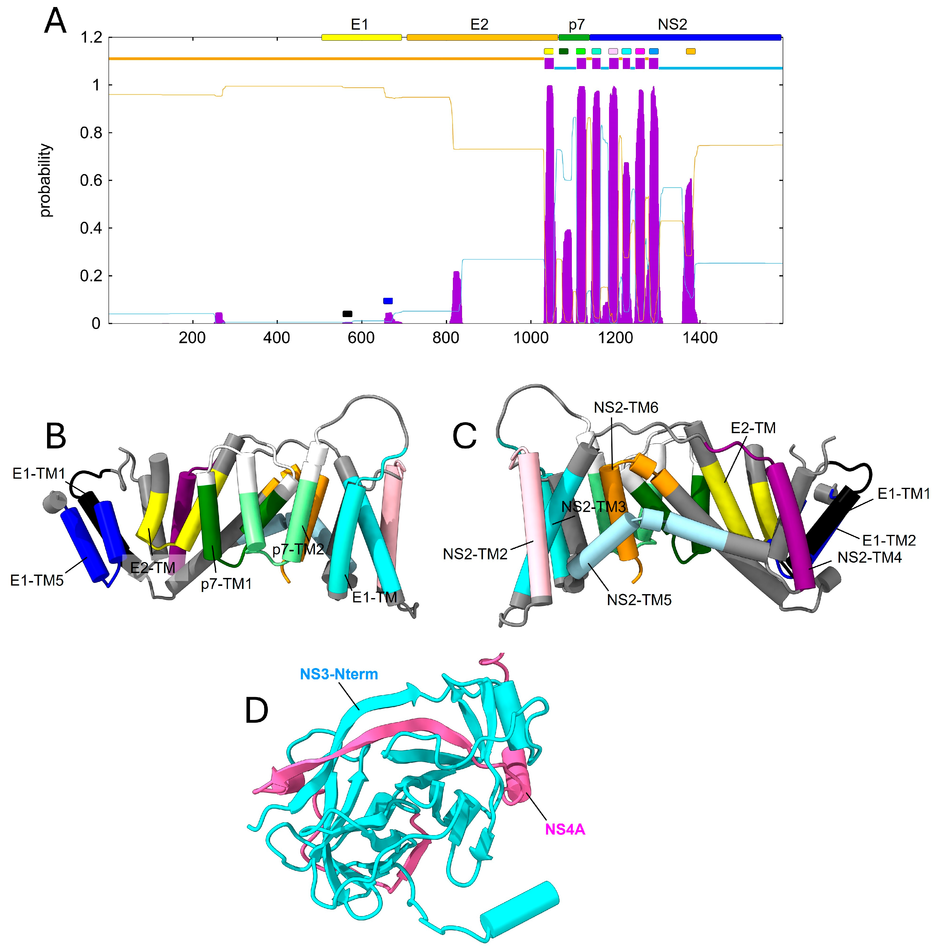 Ijms 26 10159 g008 Ijms 26 10159 g008
