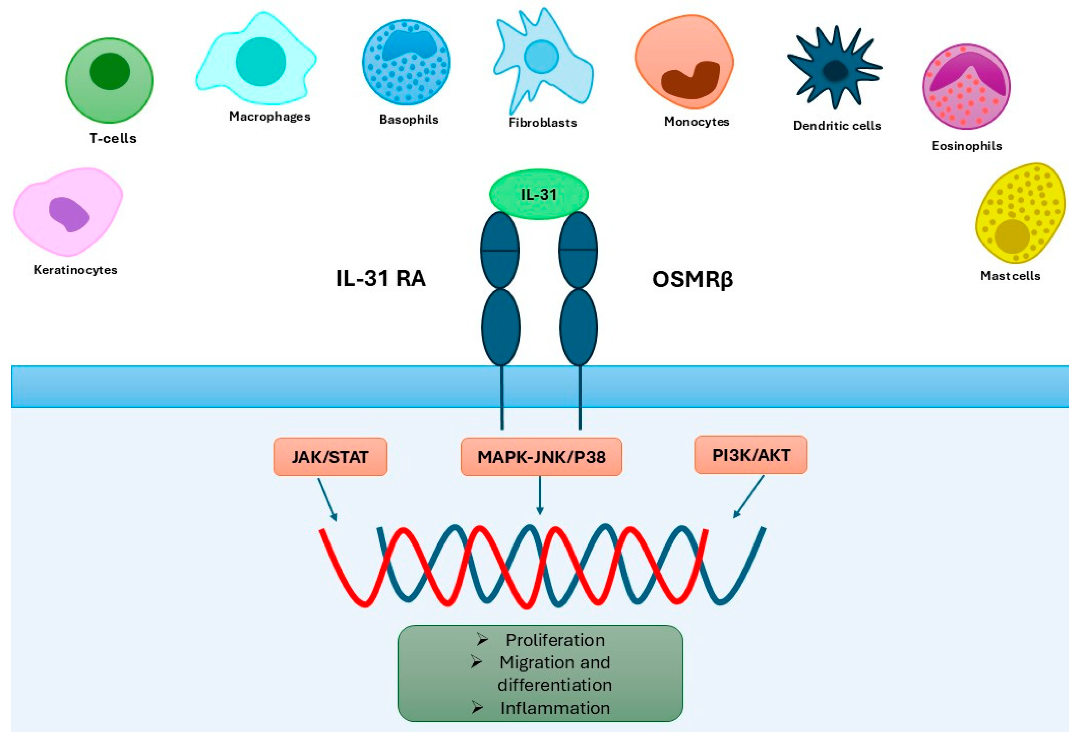 Ijms 26 10162 g002 Ijms 26 10162 g002