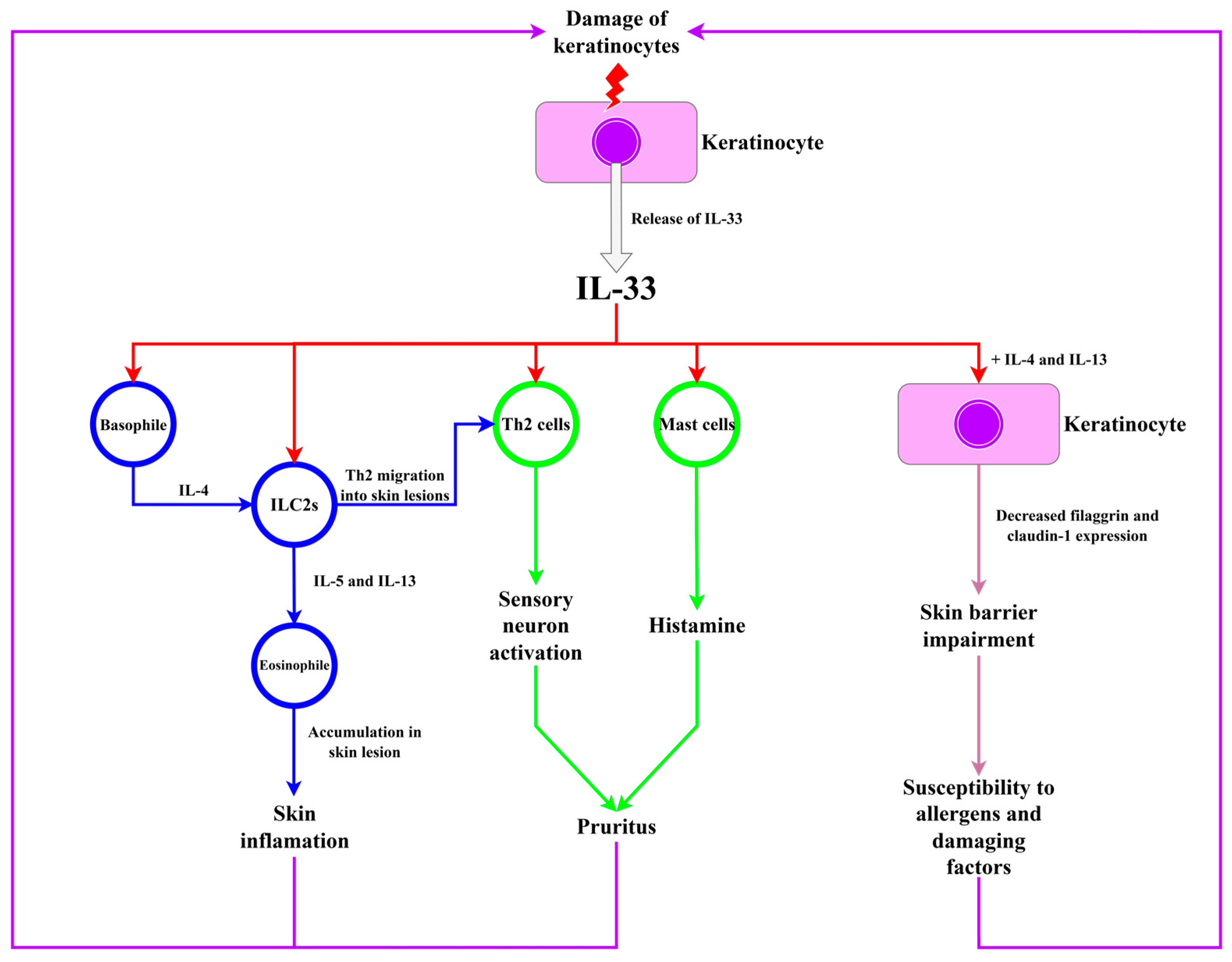 Ijms 26 10162 g004 Ijms 26 10162 g004