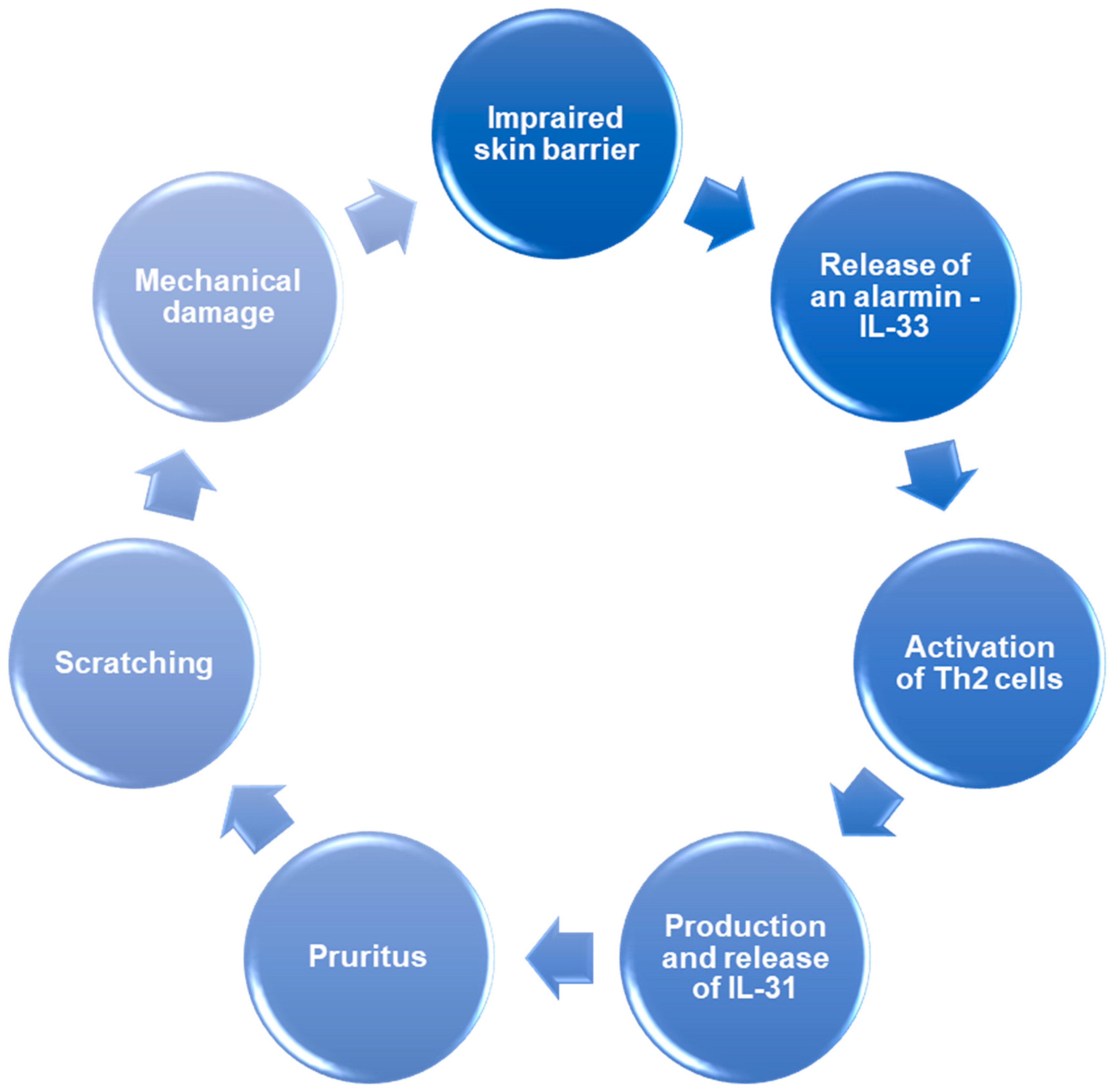 Ijms 26 10162 g005 Ijms 26 10162 g005