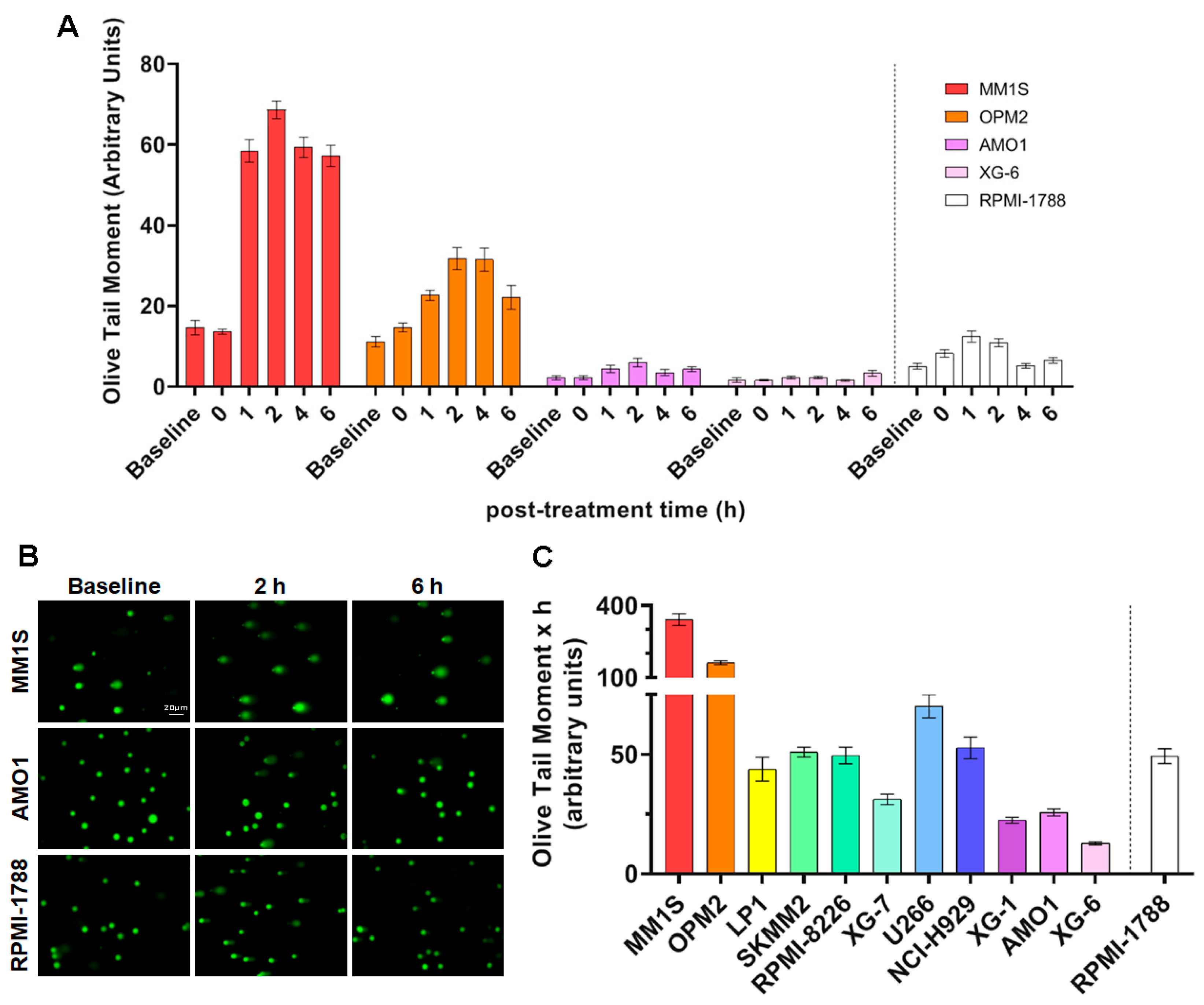 Ijms 26 10171 g002 Ijms 26 10171 g002
