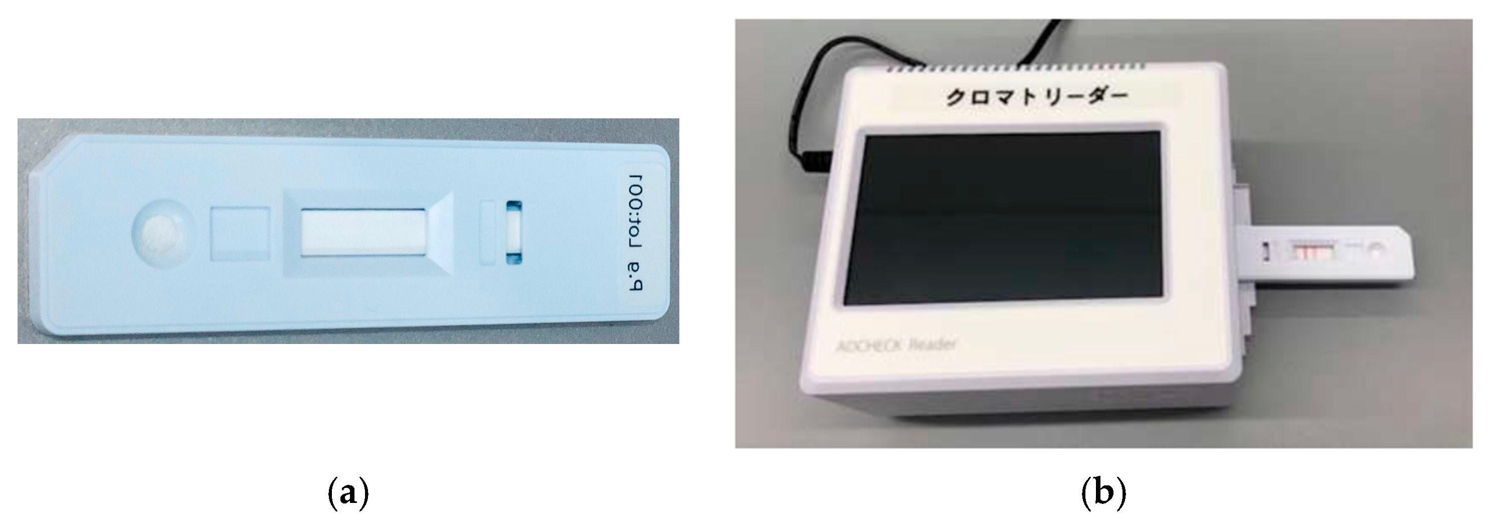 Ijms 26 10172 g002 Ijms 26 10172 g002