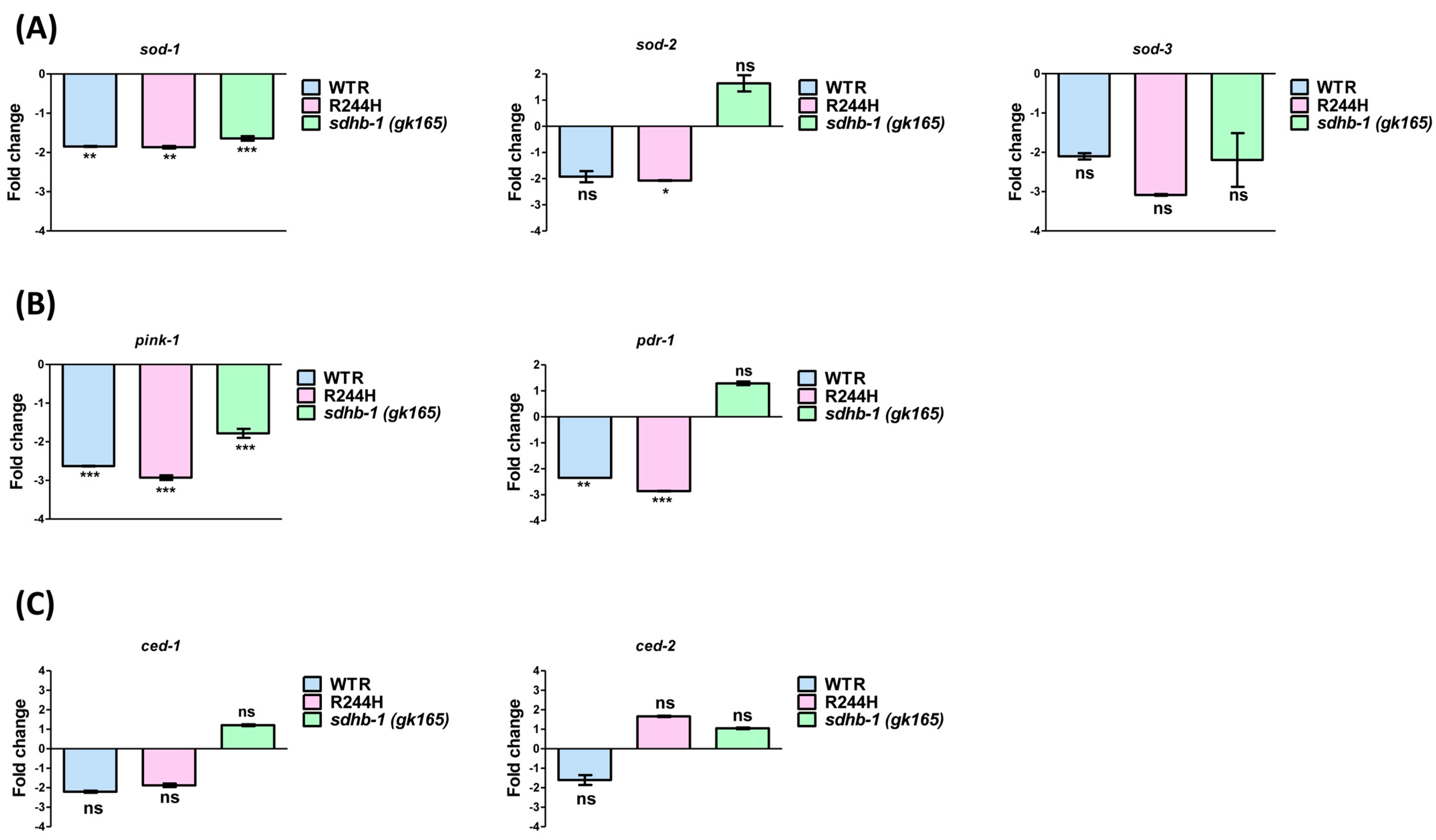 Ijms 26 10185 g005 Ijms 26 10185 g005