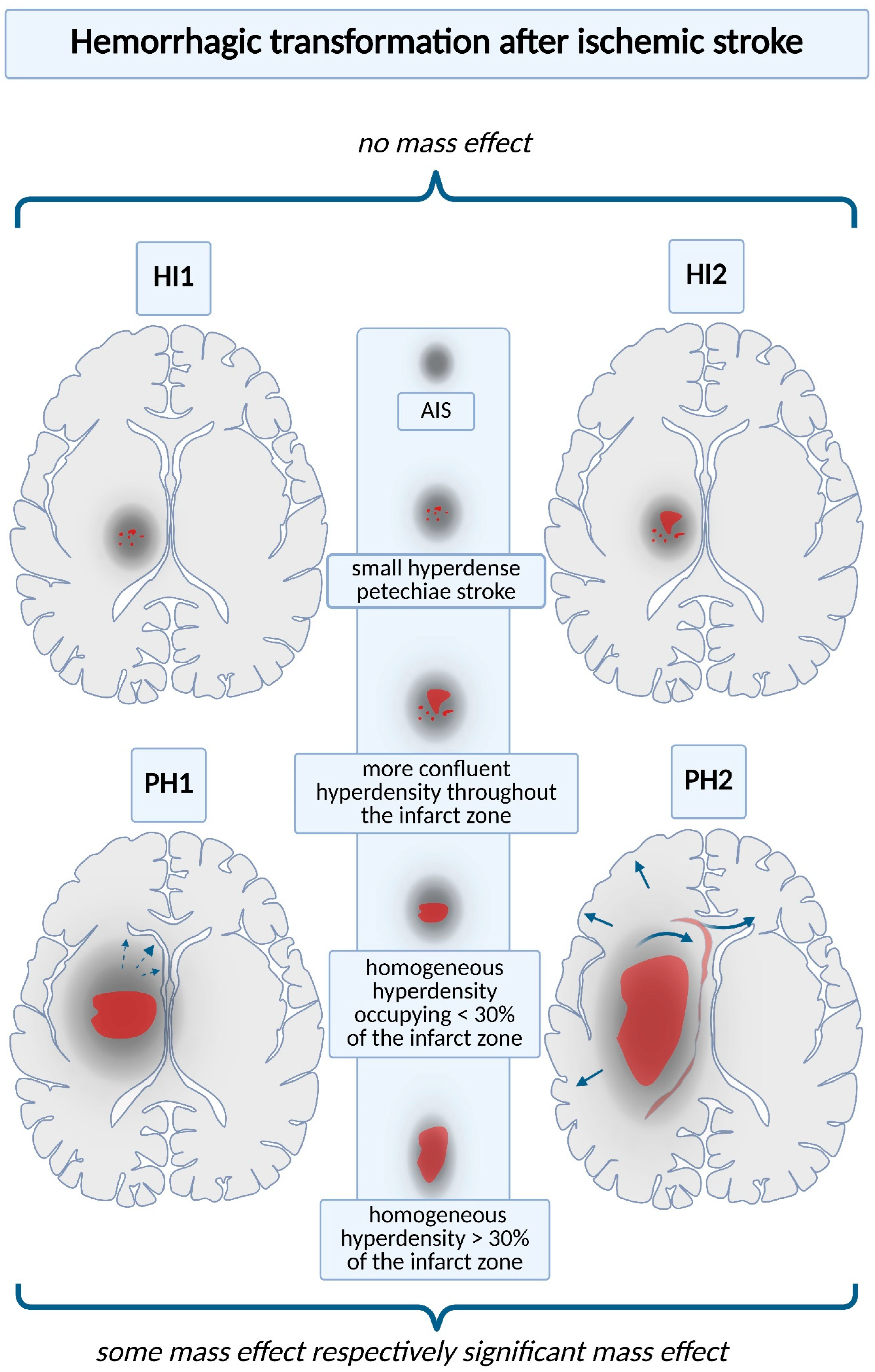 Ijms 26 10186 g001 Ijms 26 10186 g001
