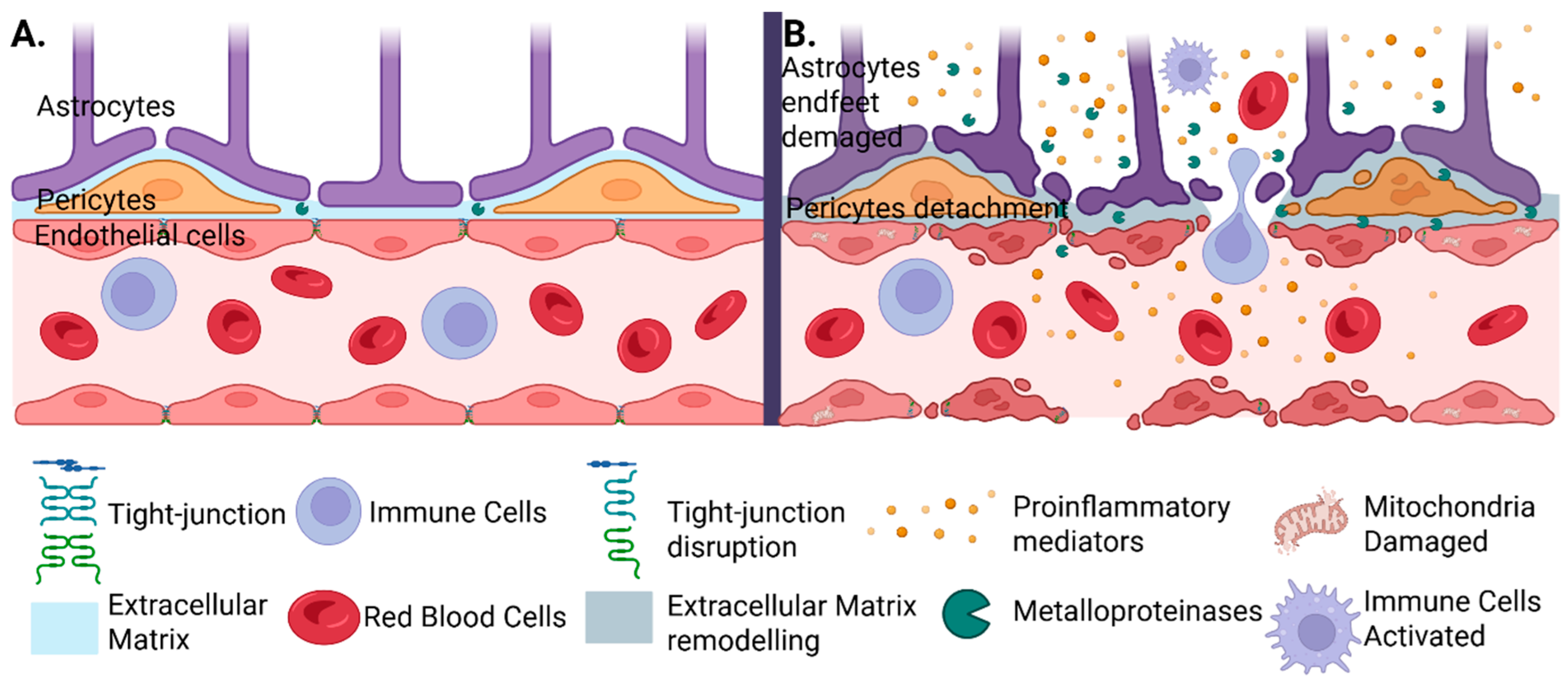 Ijms 26 10186 g002 Ijms 26 10186 g002
