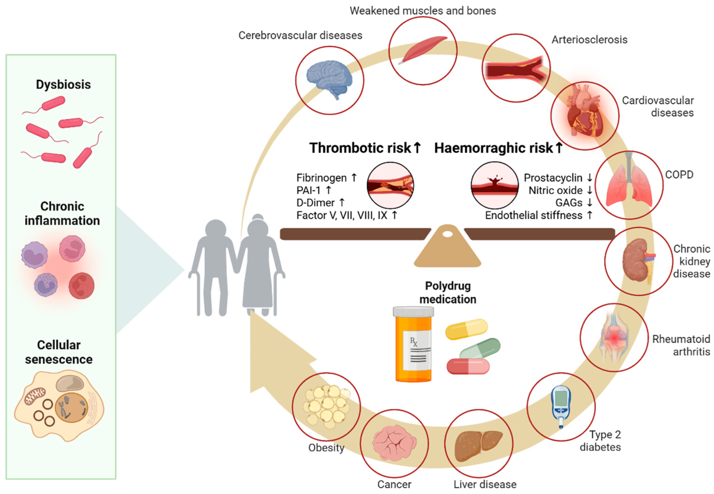 Ijms 26 10186 g003 Ijms 26 10186 g003