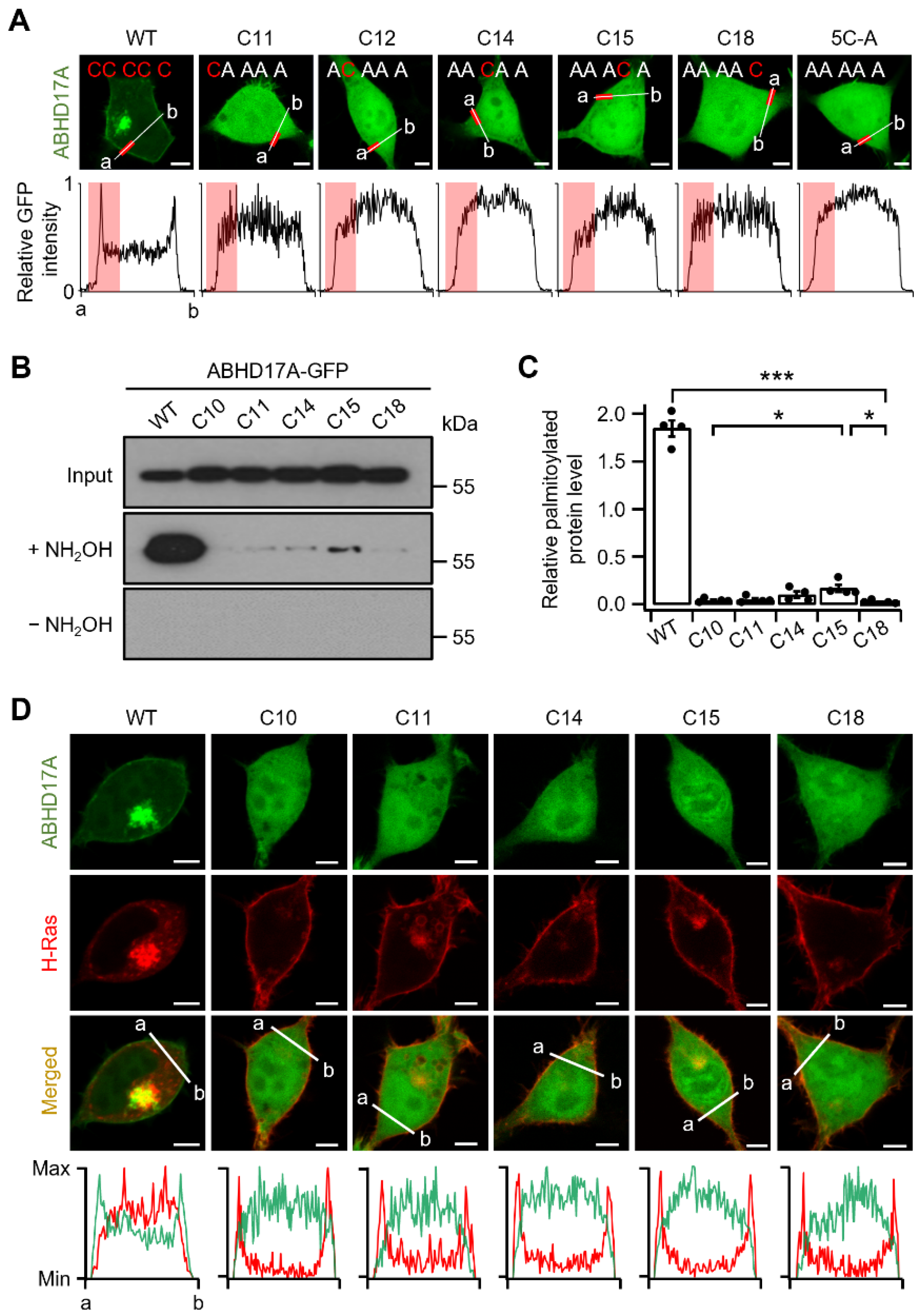 Ijms 26 10190 g002 Ijms 26 10190 g002