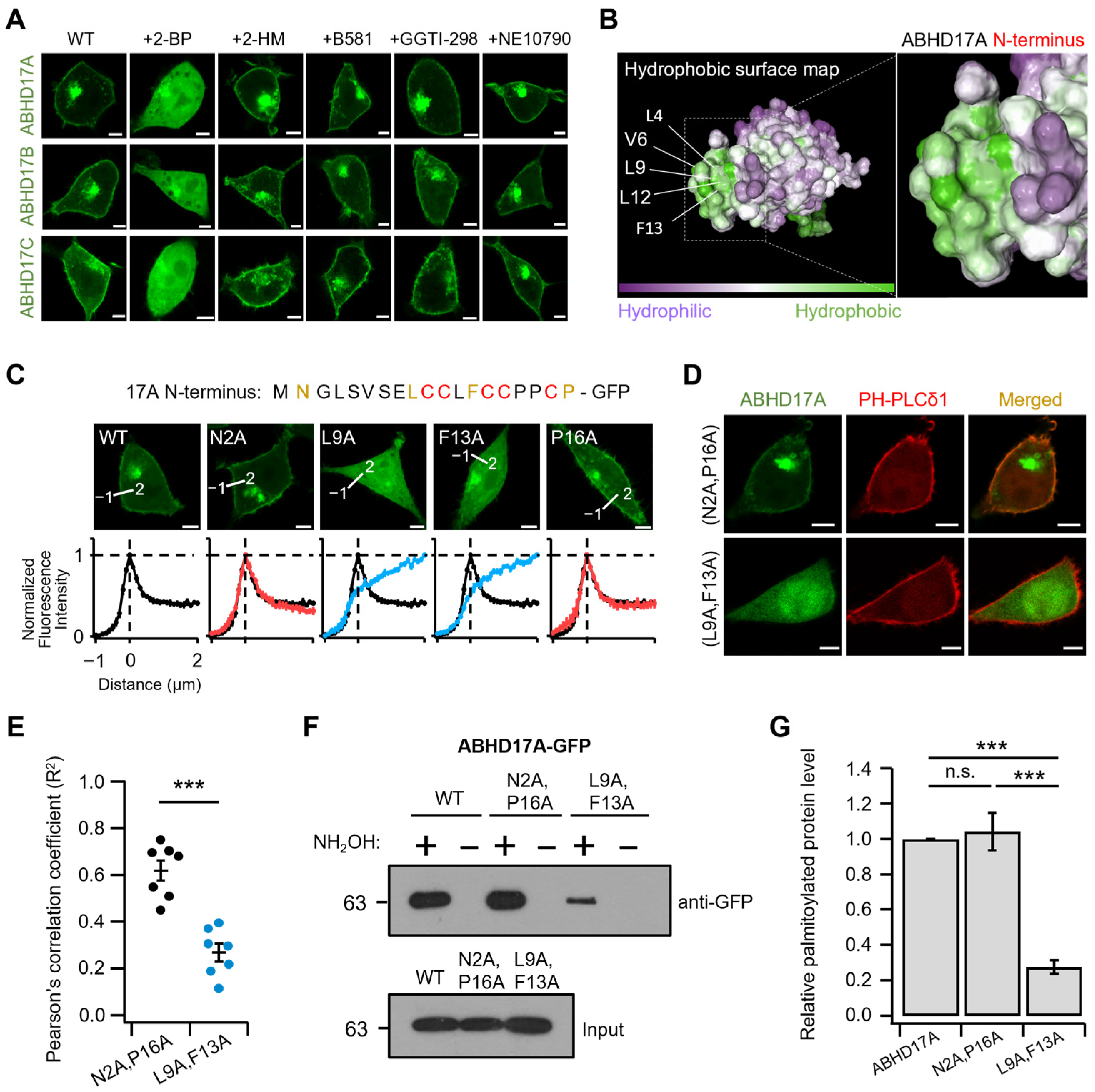 Ijms 26 10190 g004 Ijms 26 10190 g004
