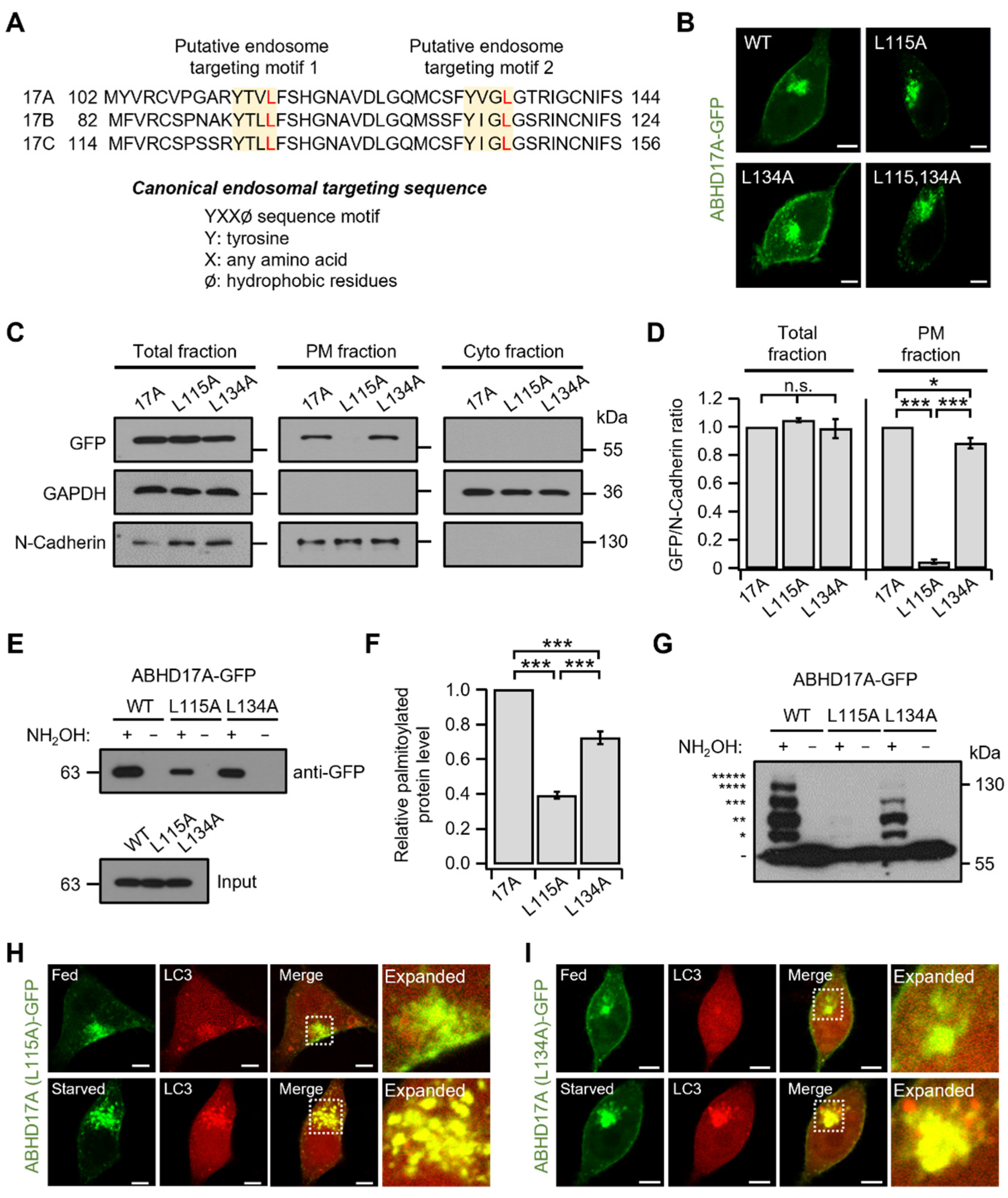 Ijms 26 10190 g005 Ijms 26 10190 g005