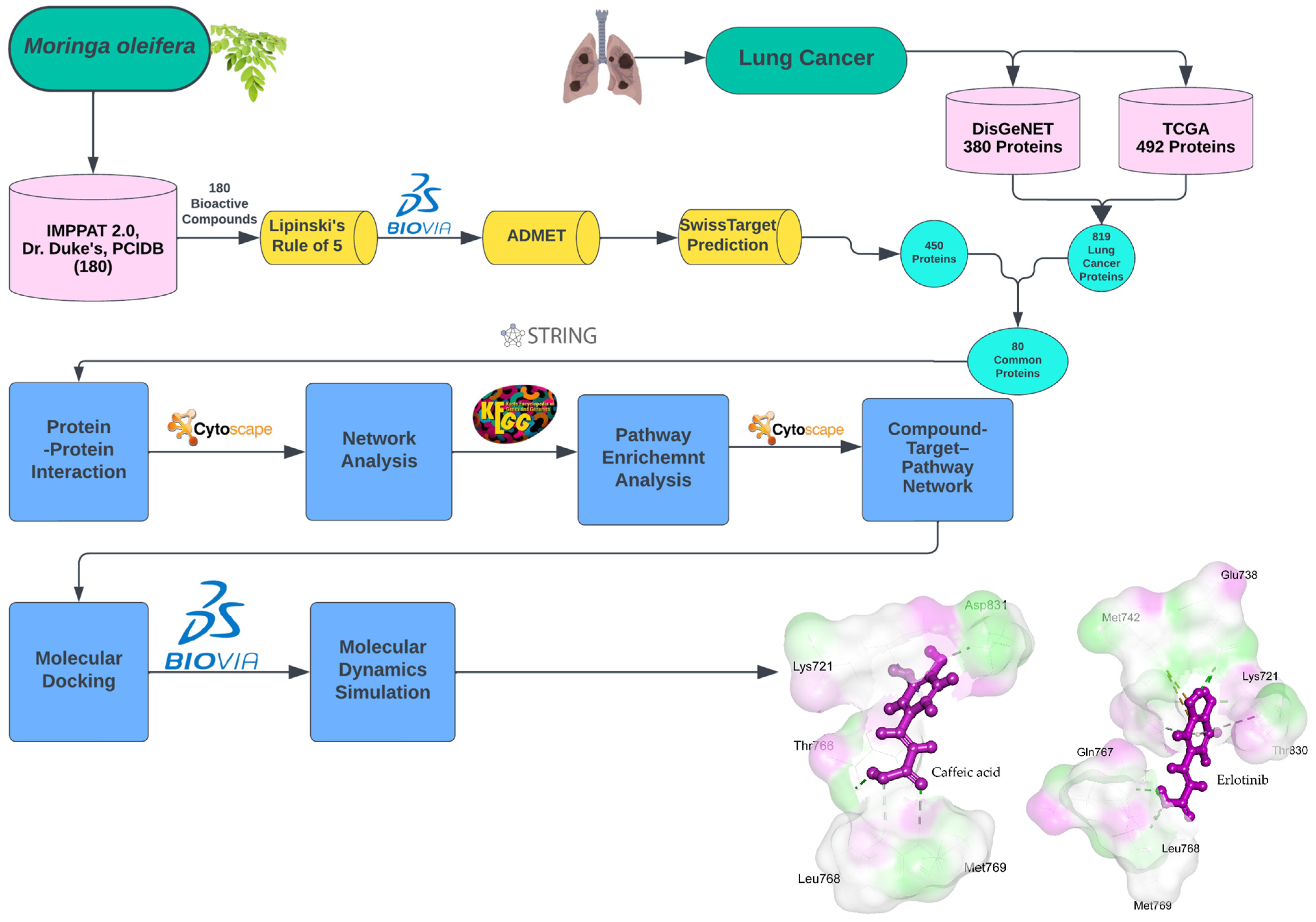 Ijms 26 10191 g001 Ijms 26 10191 g001