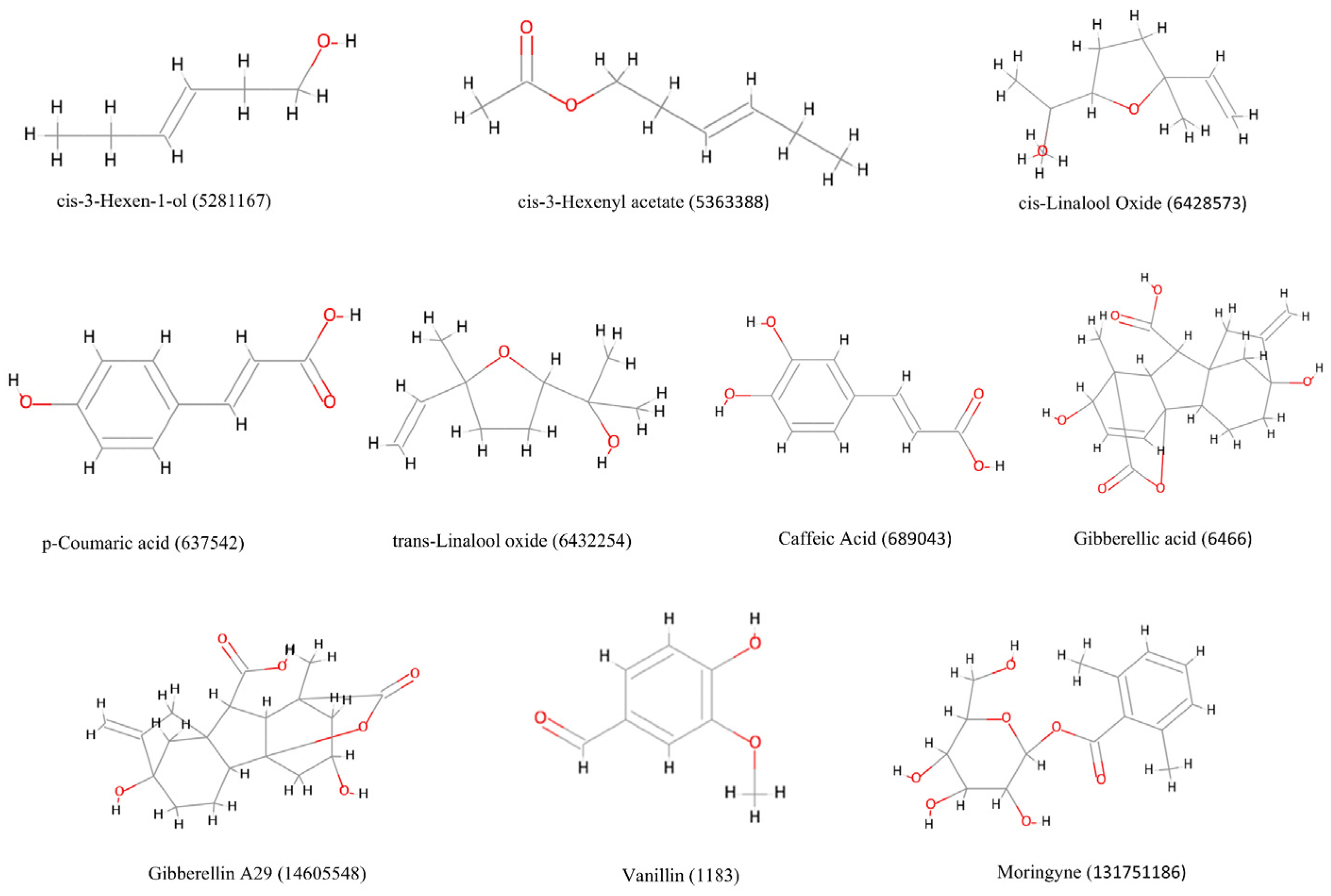 Ijms 26 10191 g002 Ijms 26 10191 g002