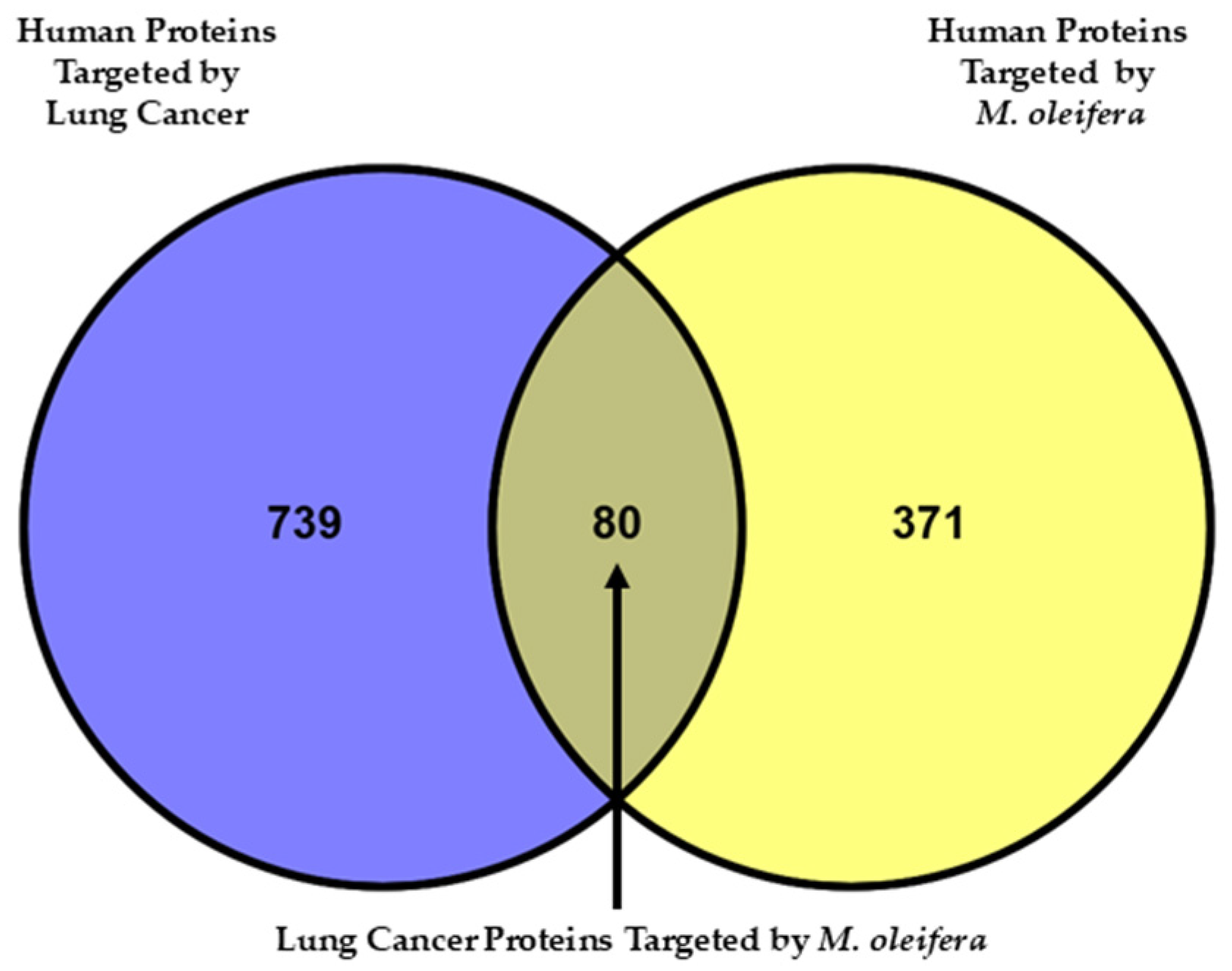 Ijms 26 10191 g003 Ijms 26 10191 g003