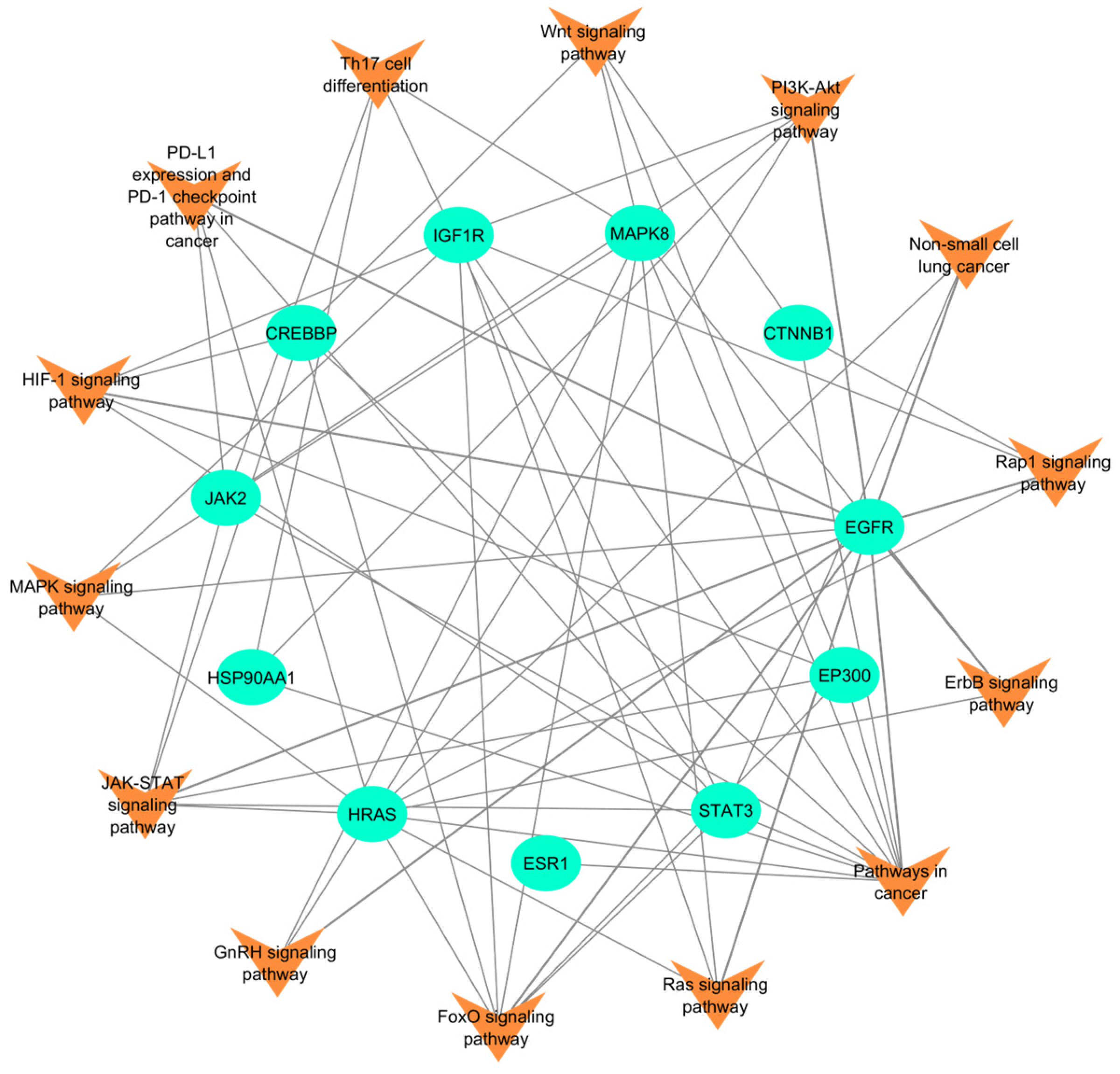 Ijms 26 10191 g005 Ijms 26 10191 g005