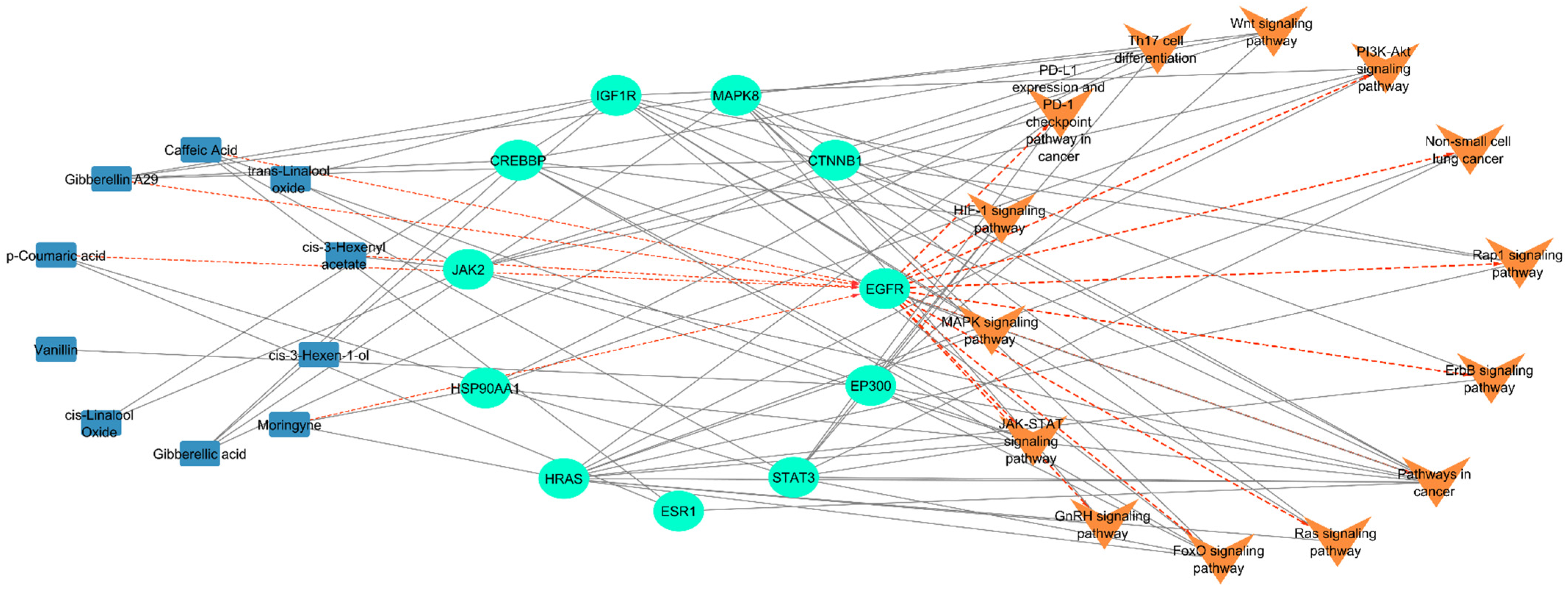 Ijms 26 10191 g006 Ijms 26 10191 g006